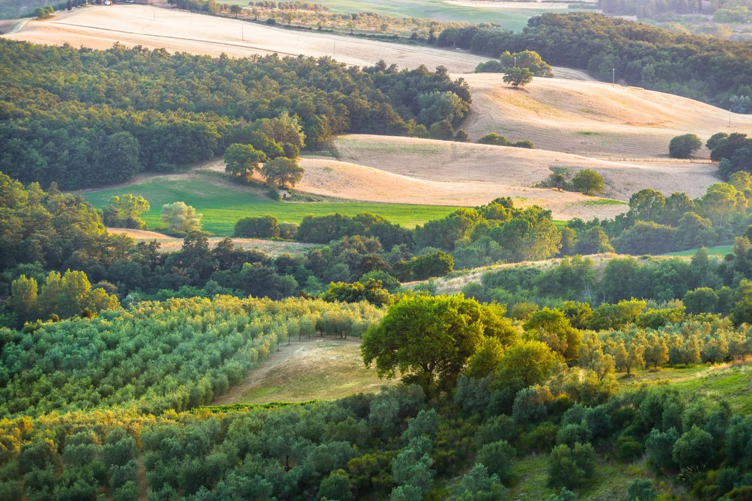 Landmark view in Locanda di CasalMustia