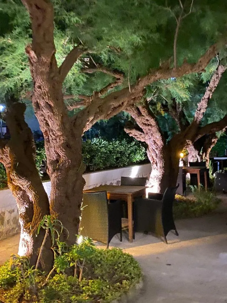 Garden in Hotel Arimune