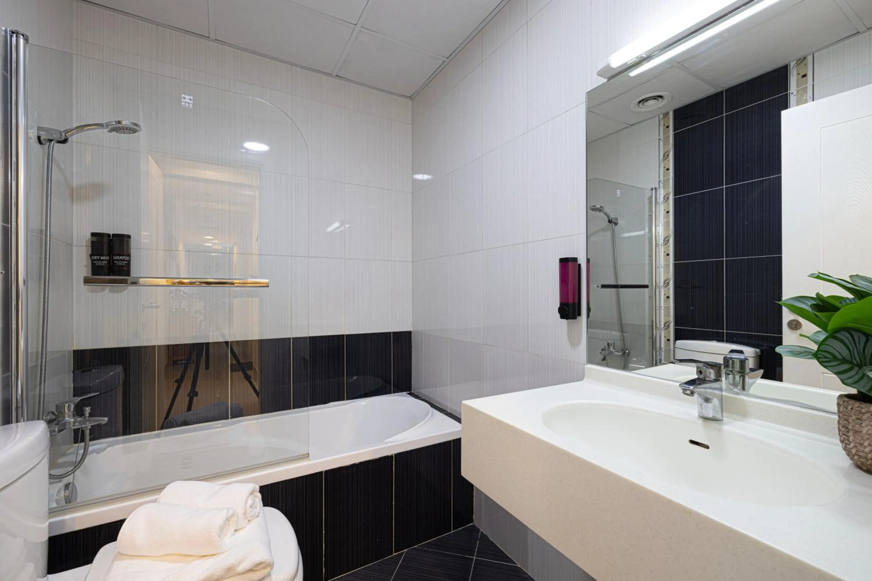 Shower in Stylish 3 bedrooms Boho-Style Home
