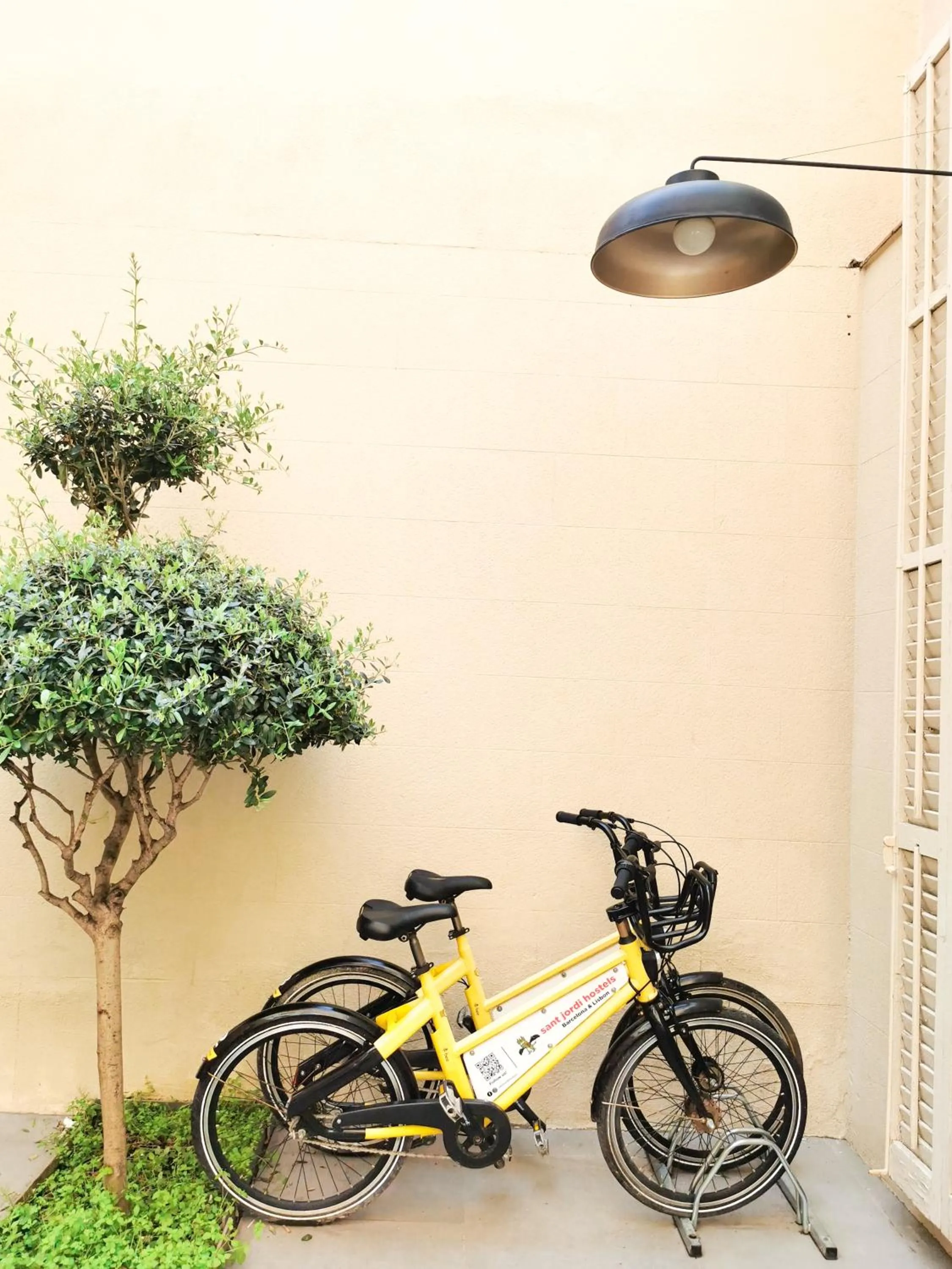 Activities in Sant Jordi Hostels Rock Palace