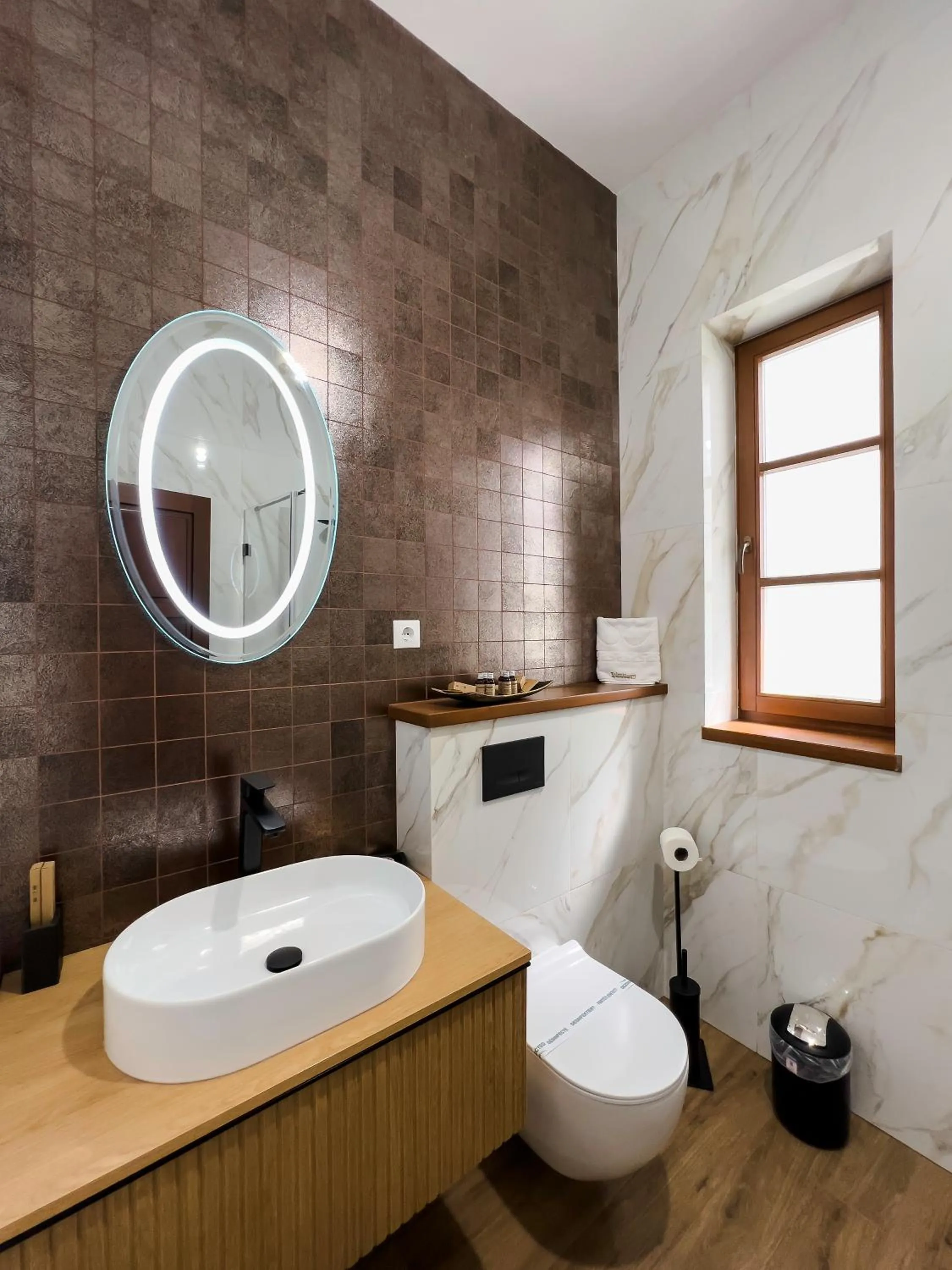 Toilet in Wanderer Sighisoara