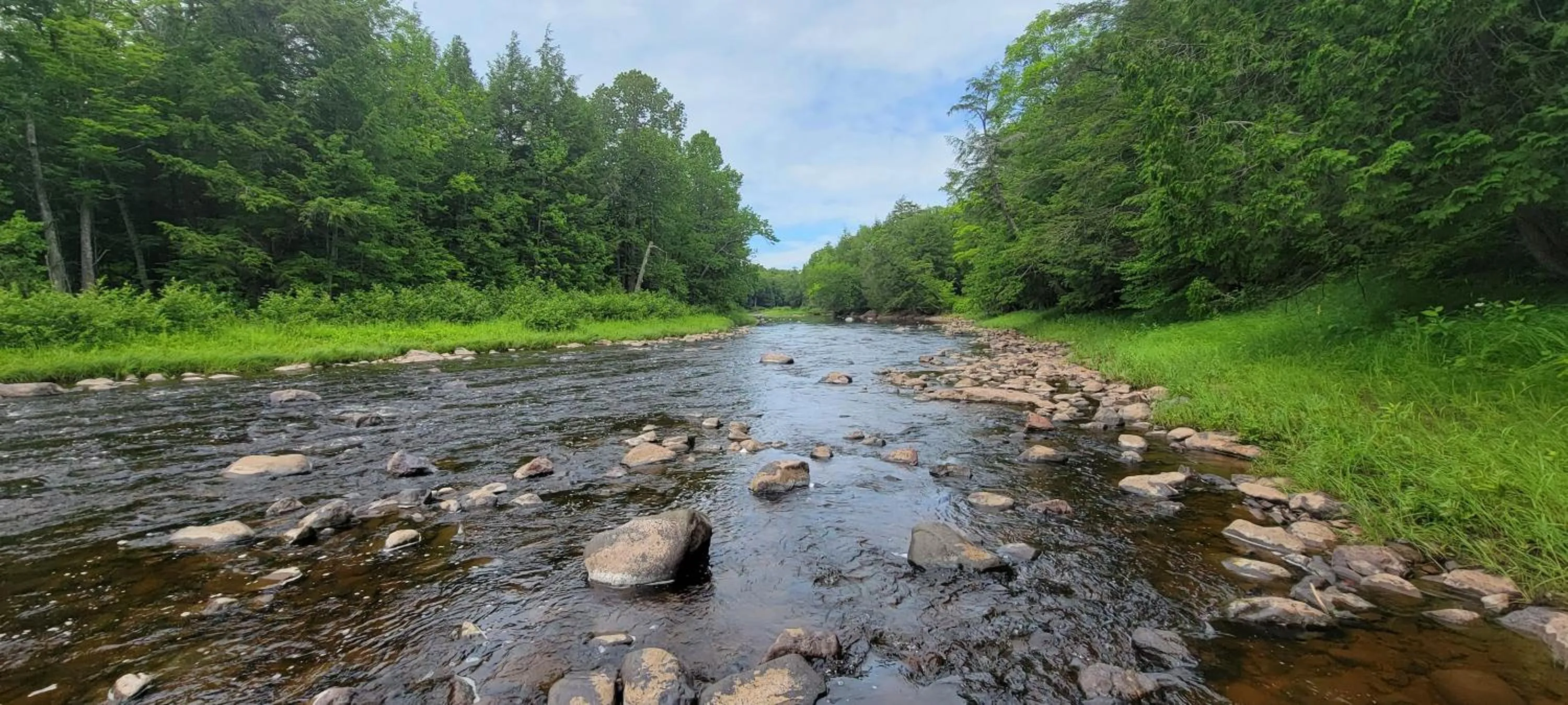 Natural landscape in Snow Chasers Lodge