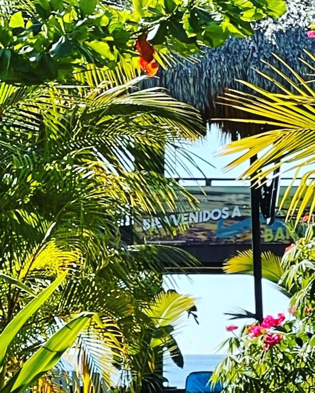 Restaurant/places to eat in Sambo Mambo Beach Hotel