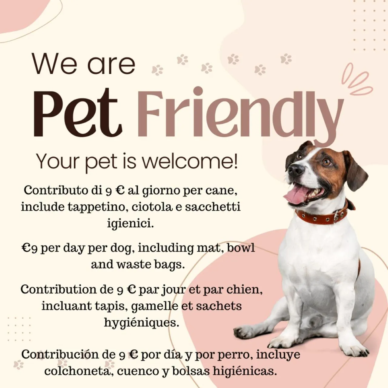 pet friendly in Hotel Miramonti