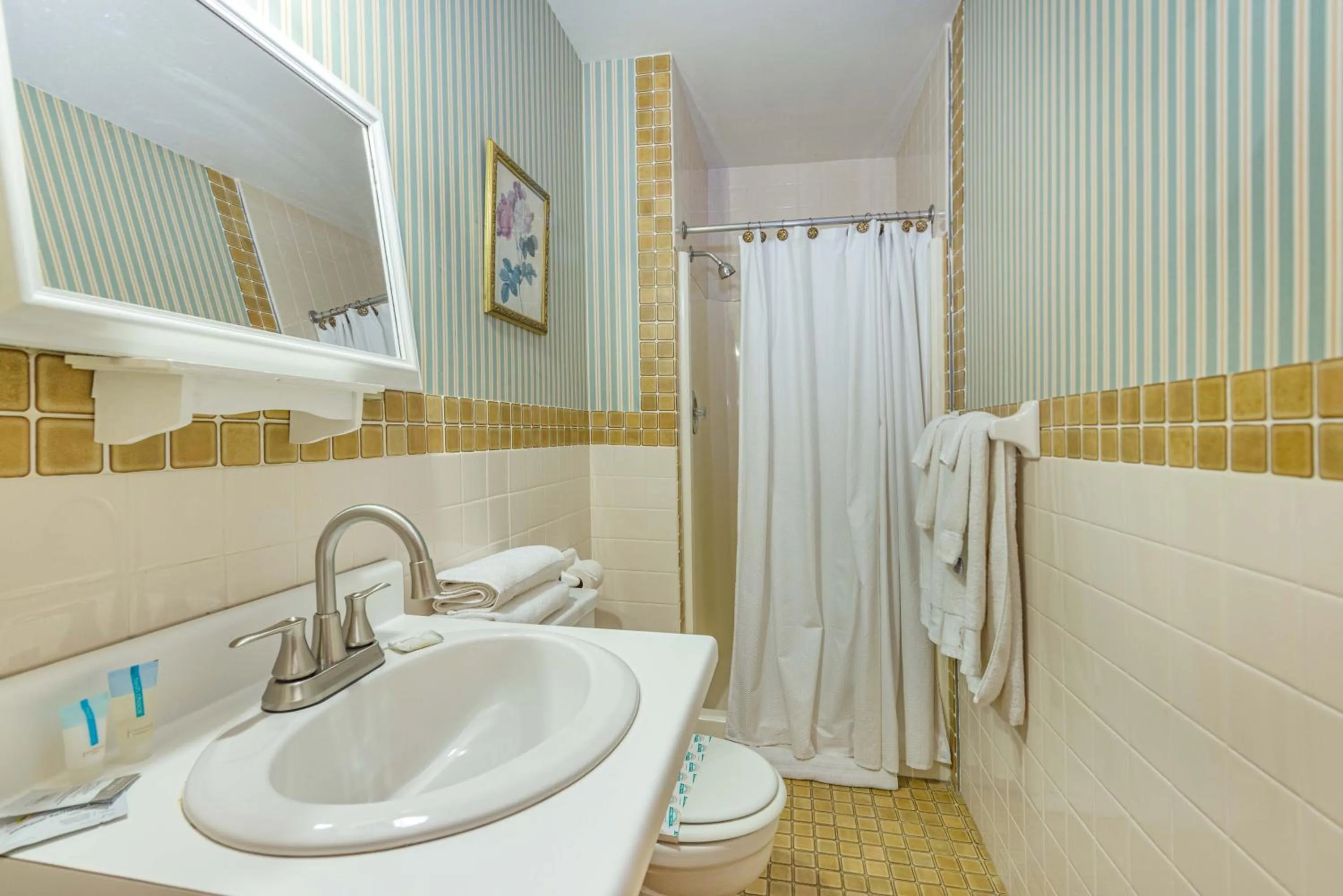 Shower in White Rose Inns & Motel