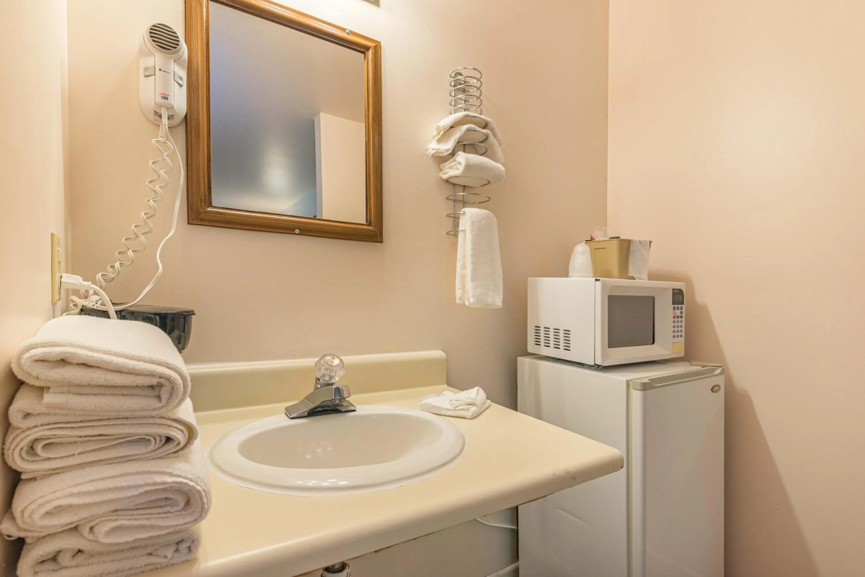 minibar in White Rose Inns & Motel