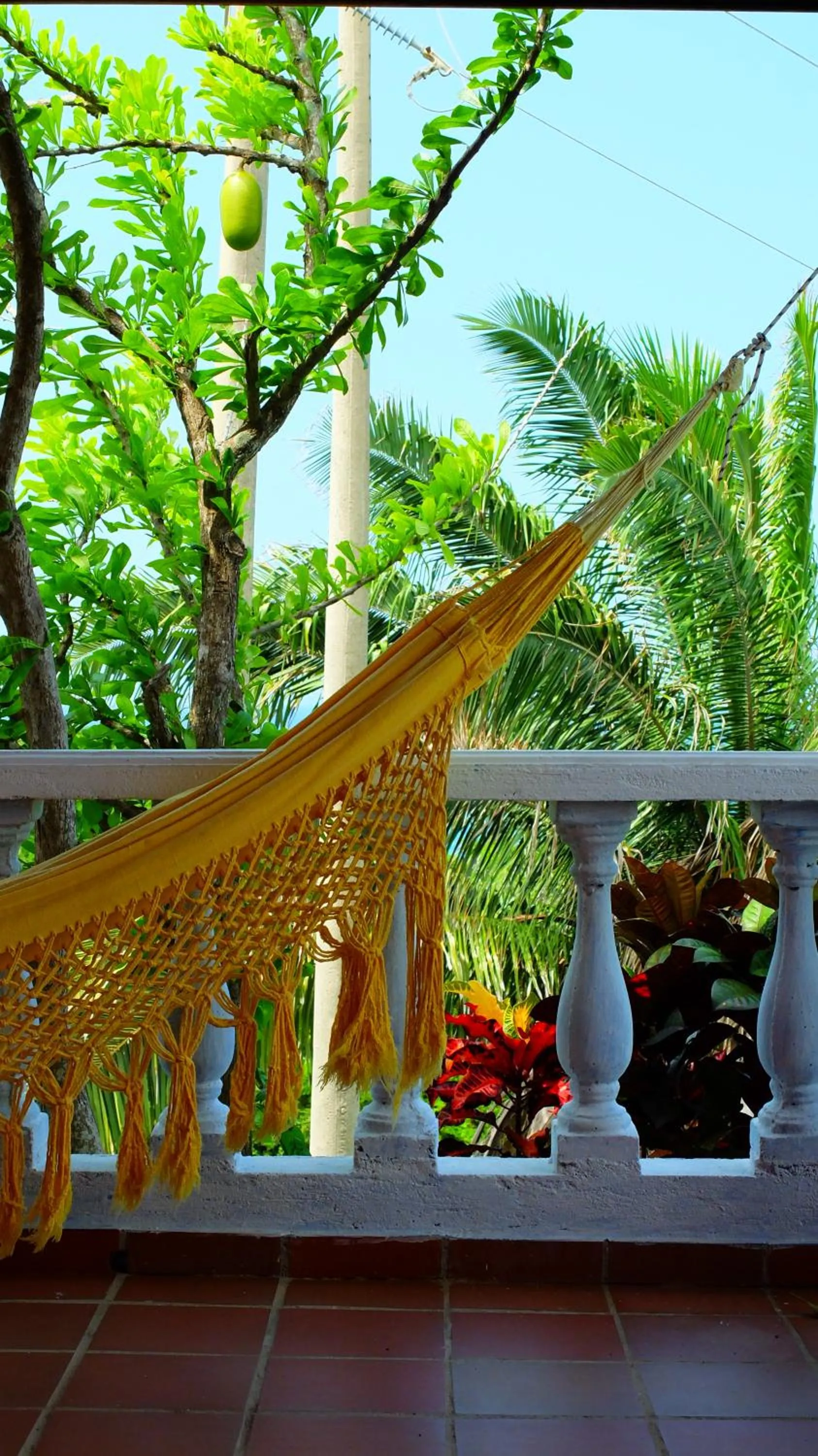 Garden in Posada Villa Margarita