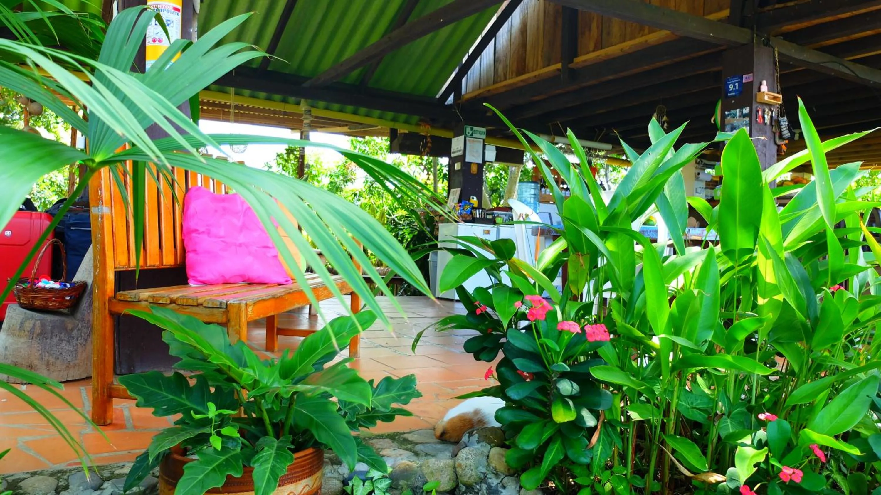 Restaurant/places to eat in Posada Villa Margarita