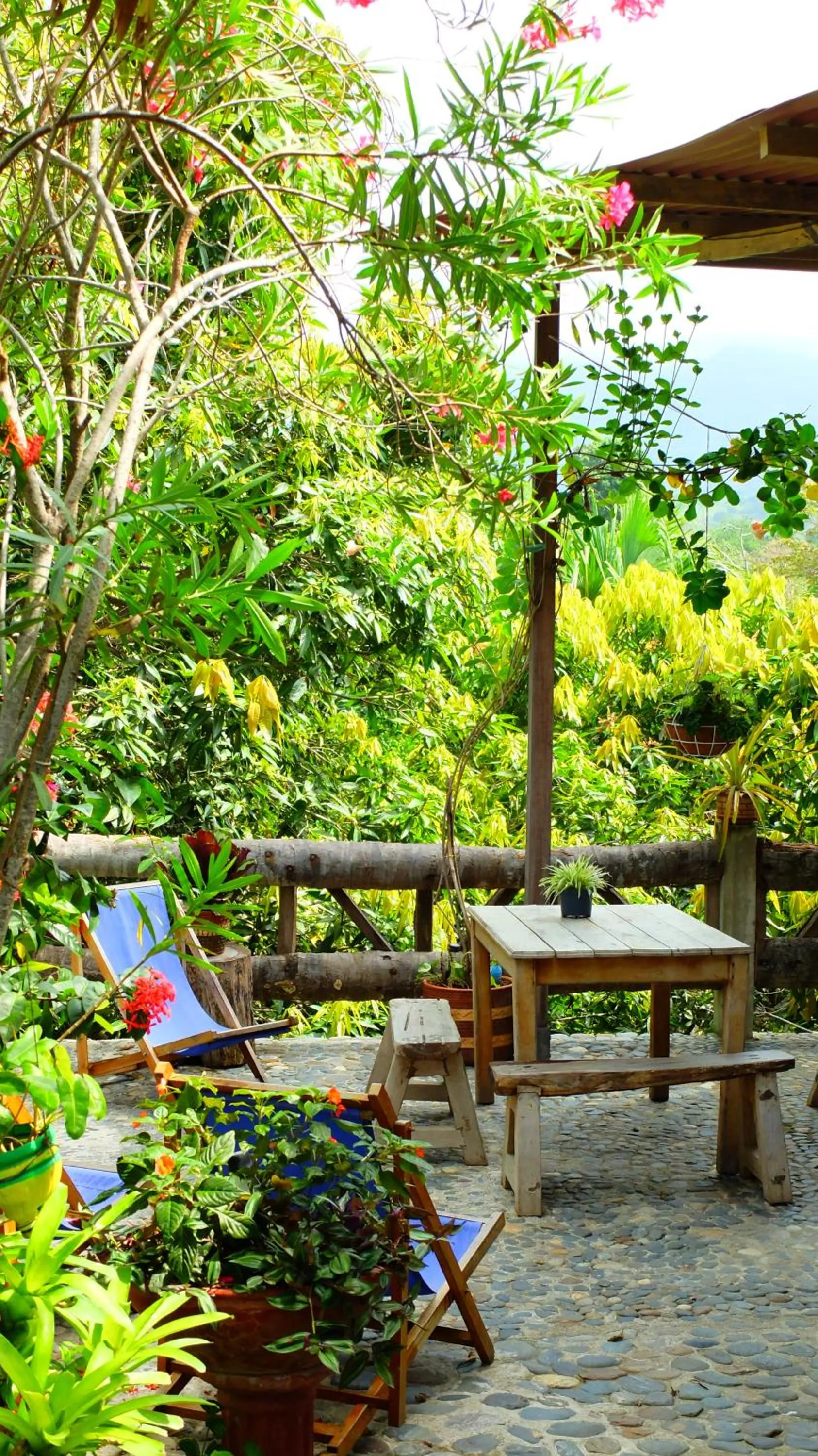 Restaurant/places to eat in Posada Villa Margarita