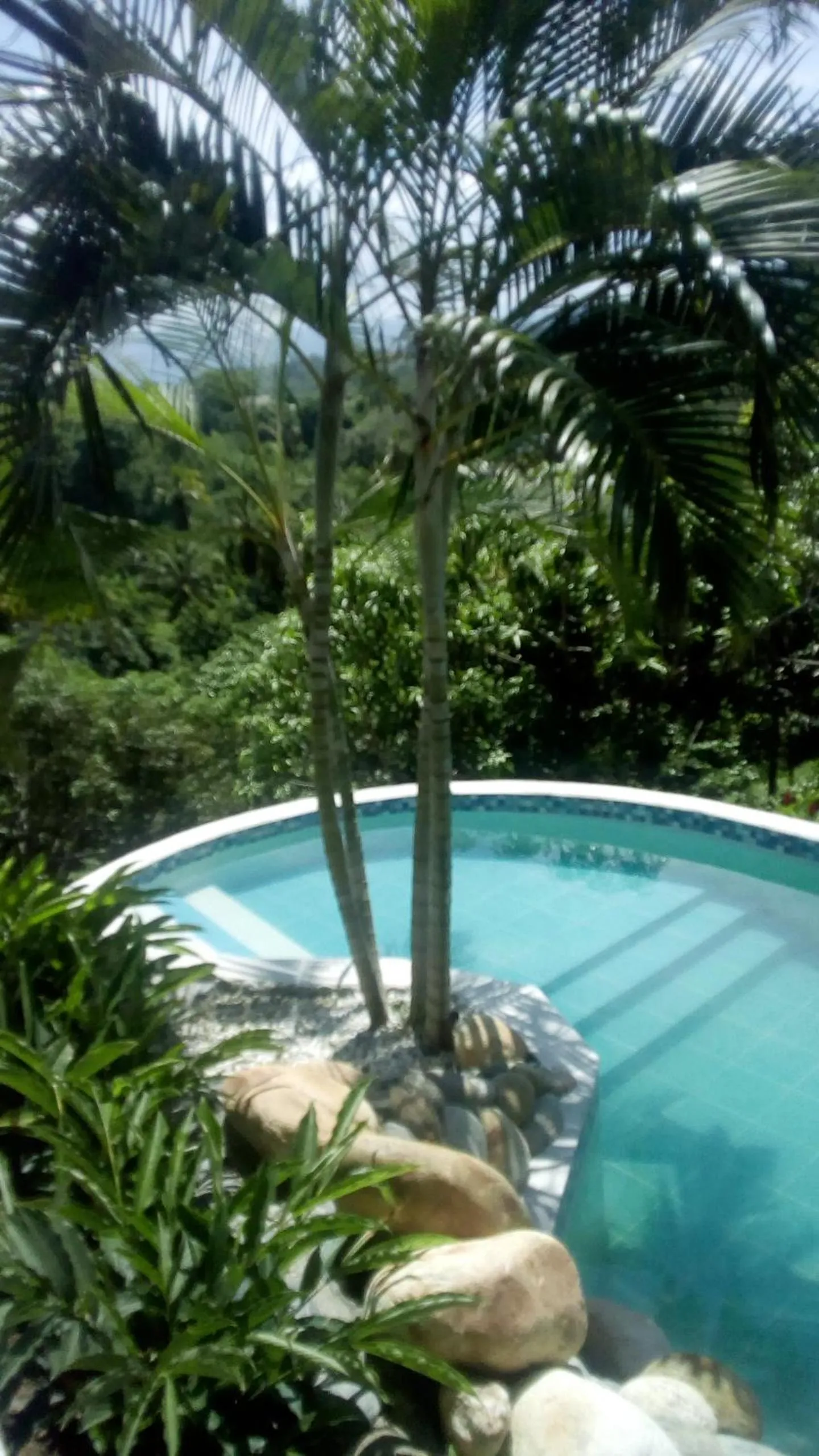 Swimming pool in Posada Villa Margarita