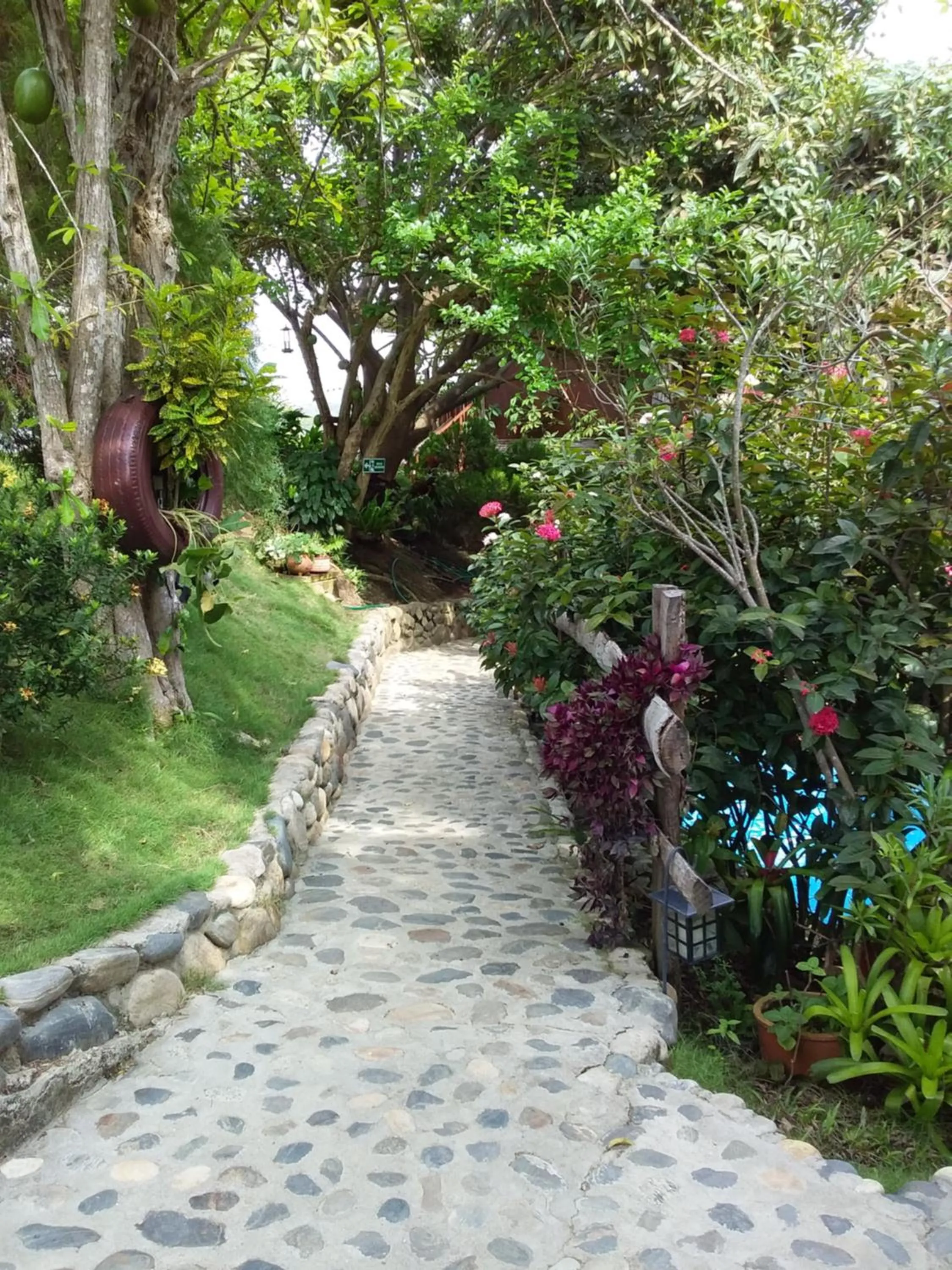 Garden in Posada Villa Margarita