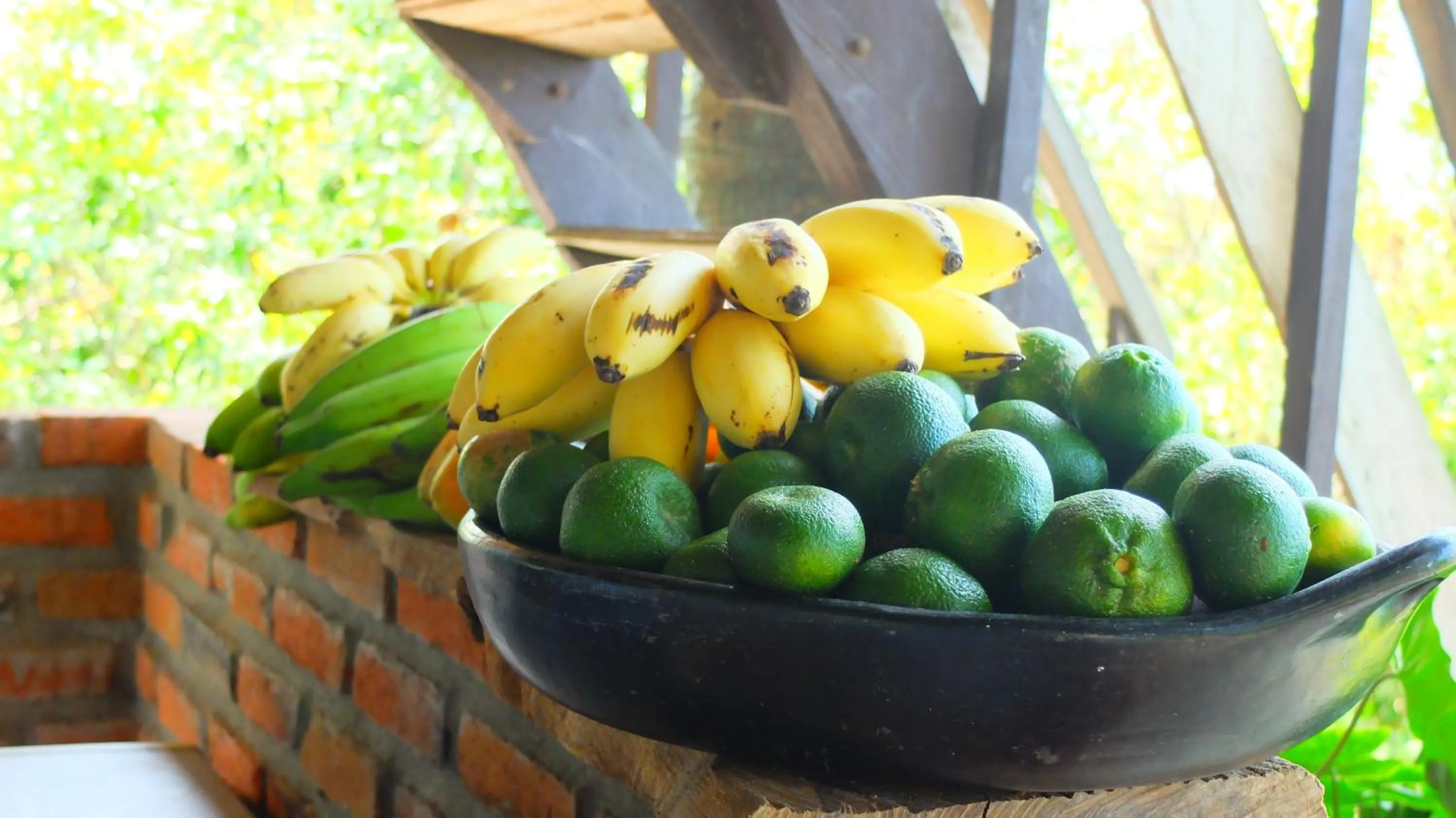 Restaurant/places to eat in Posada Villa Margarita