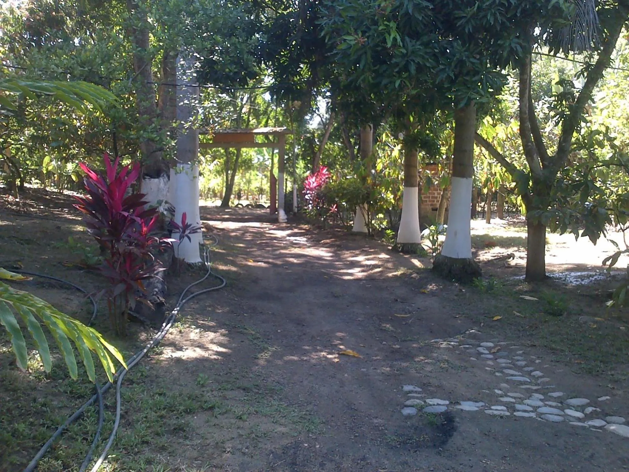 Bird's eye view in Posada Villa Margarita