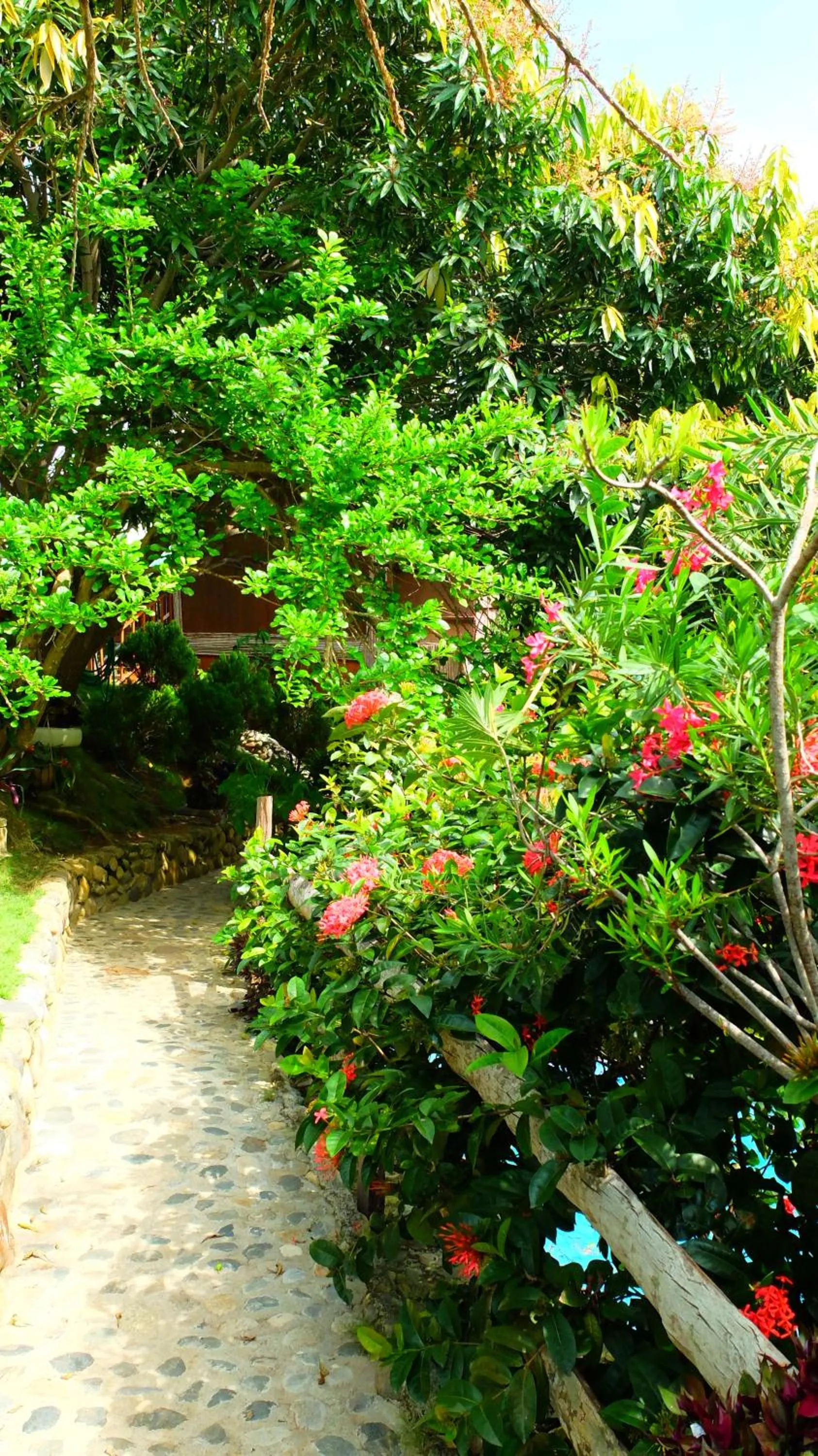 Garden in Posada Villa Margarita