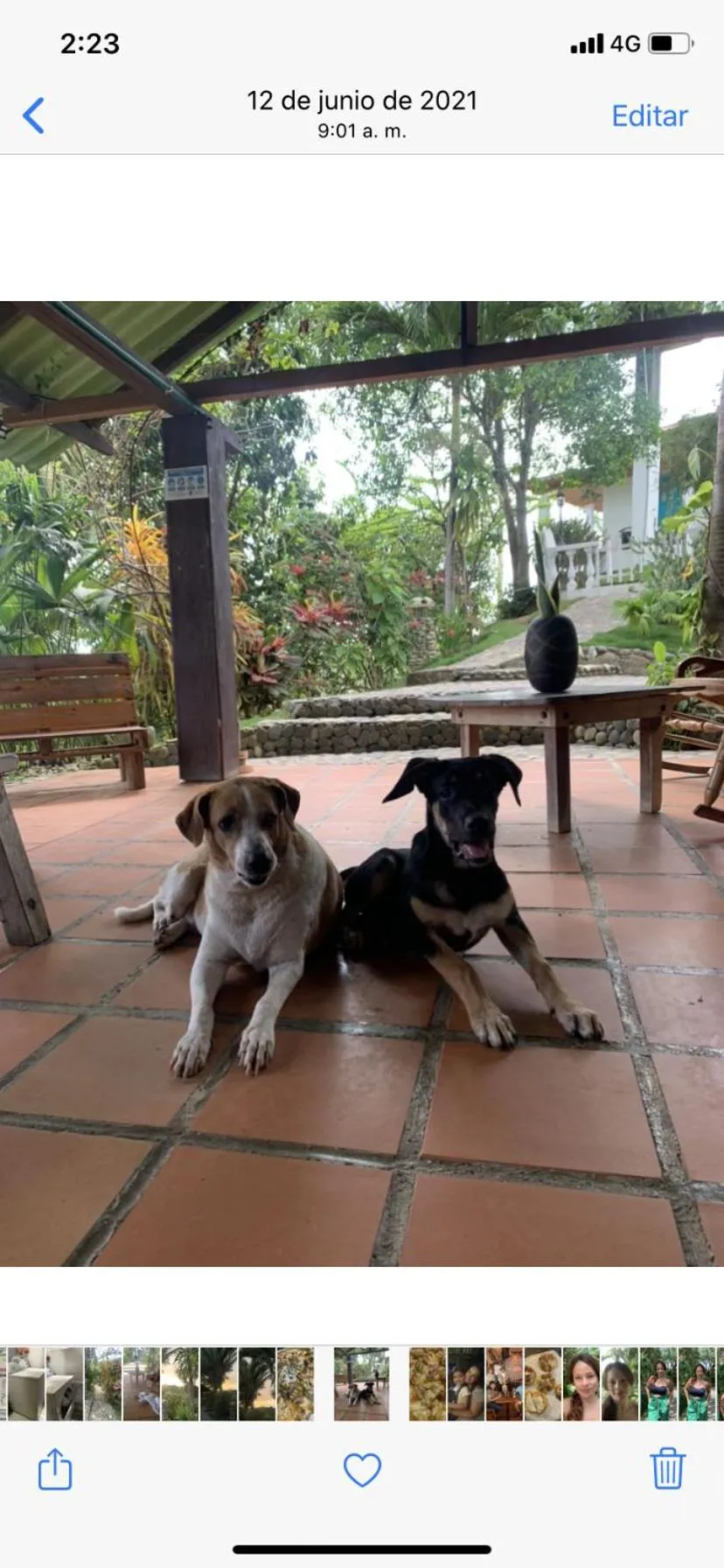 Posada Villa Margarita