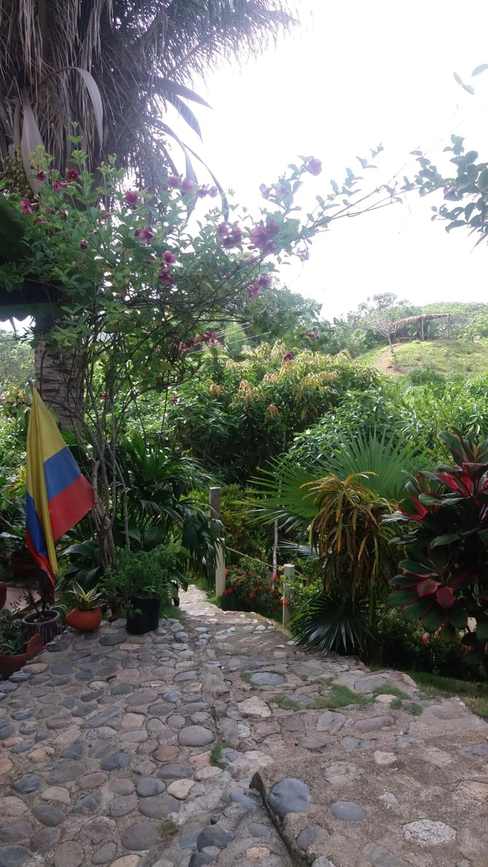 Posada Villa Margarita