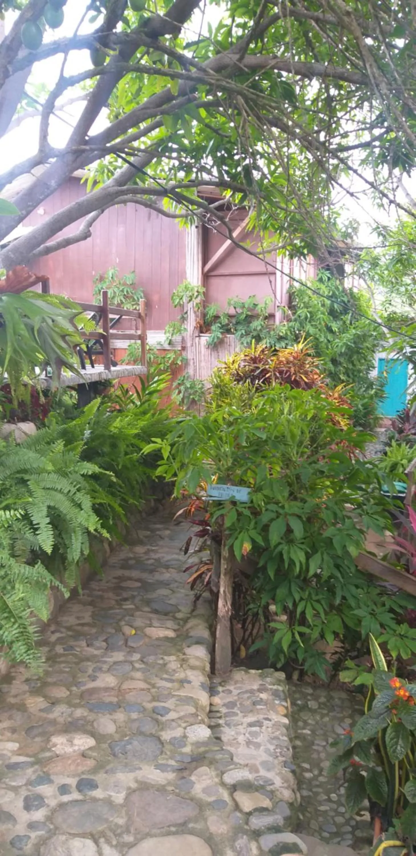Garden in Posada Villa Margarita