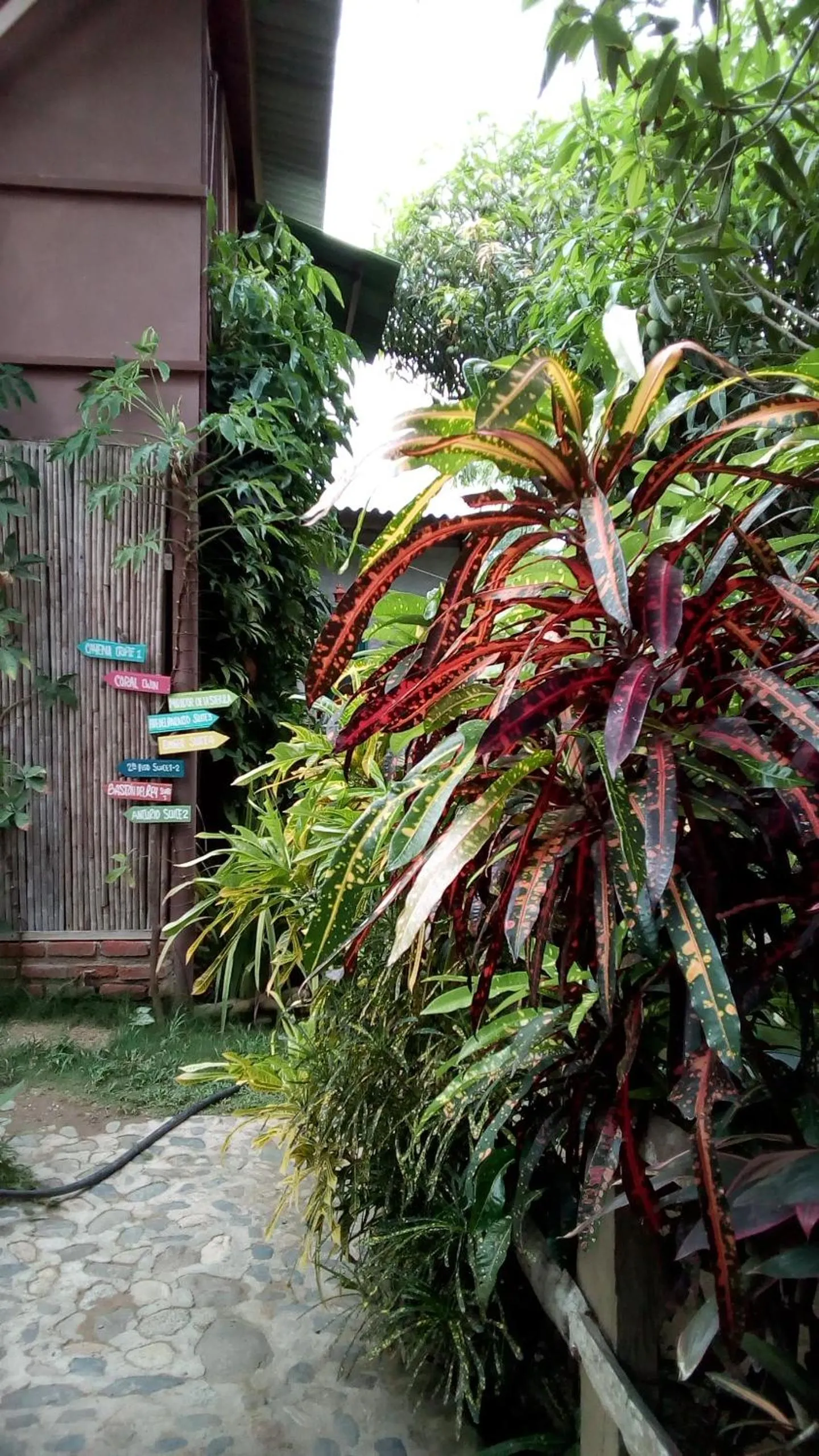 Garden in Posada Villa Margarita
