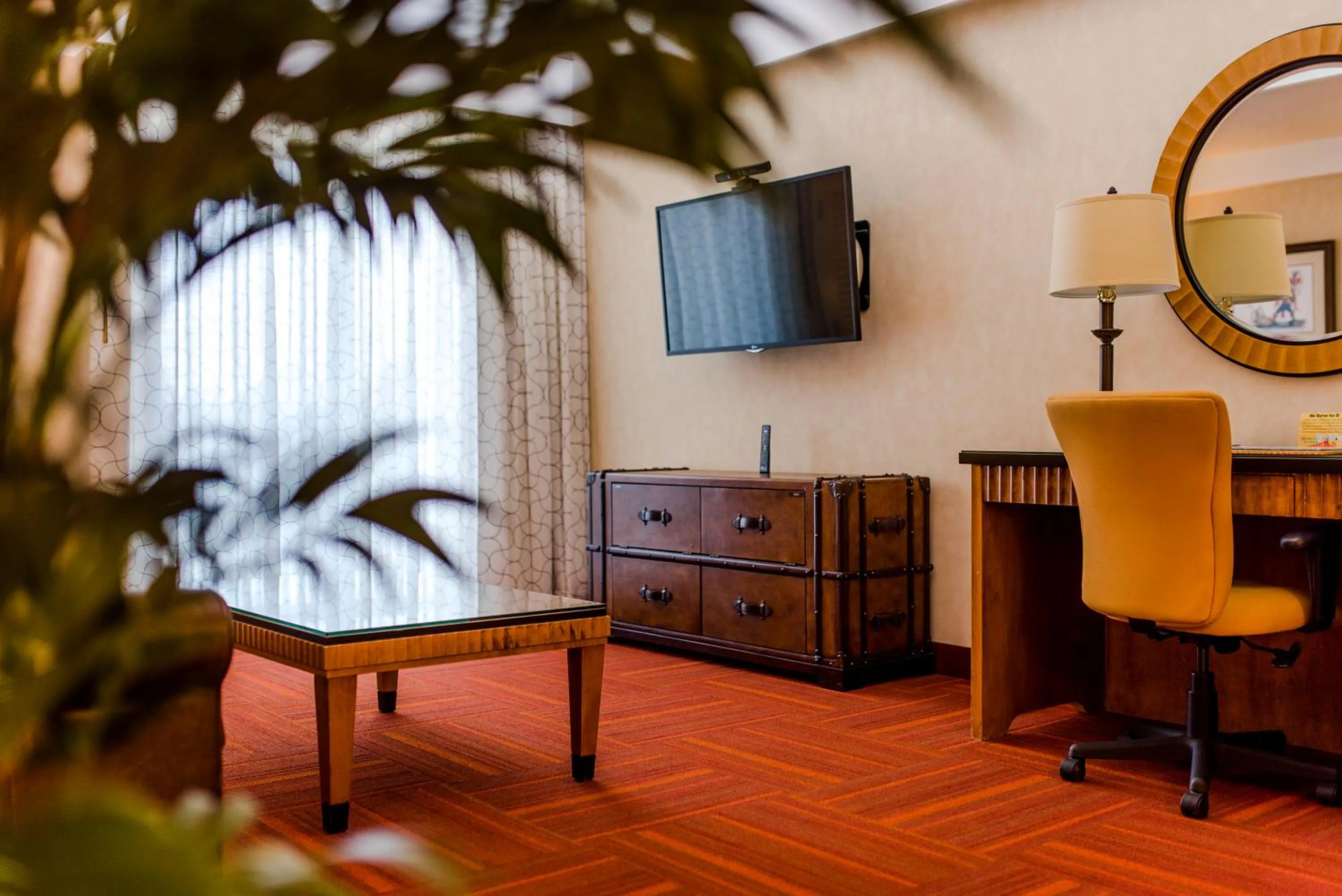 TV and multimedia in Howard Johnson by Wyndham Anaheim Hotel and Water Playground