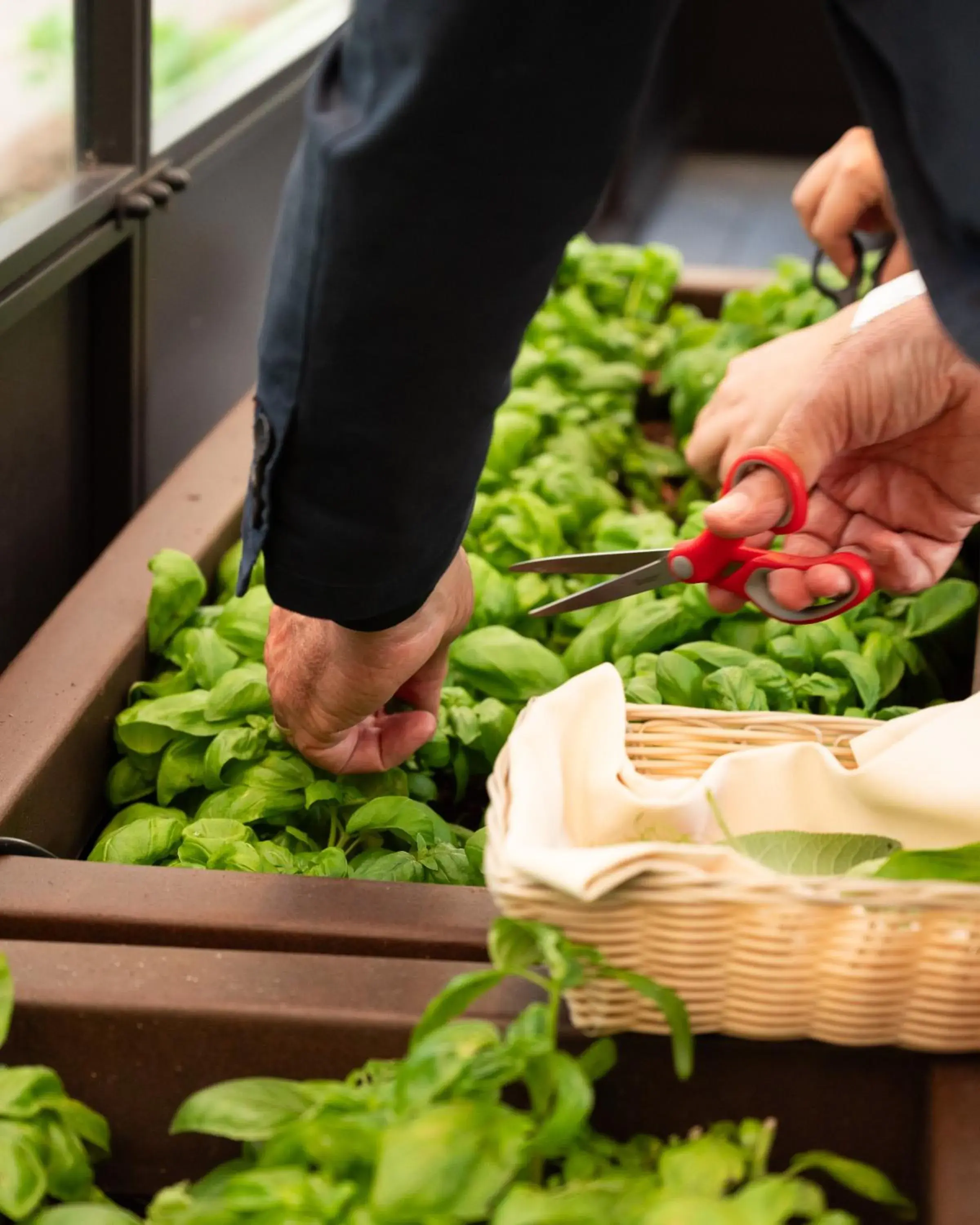 Food and drinks in Hilton Milan Food and drinks in Hilton Milan