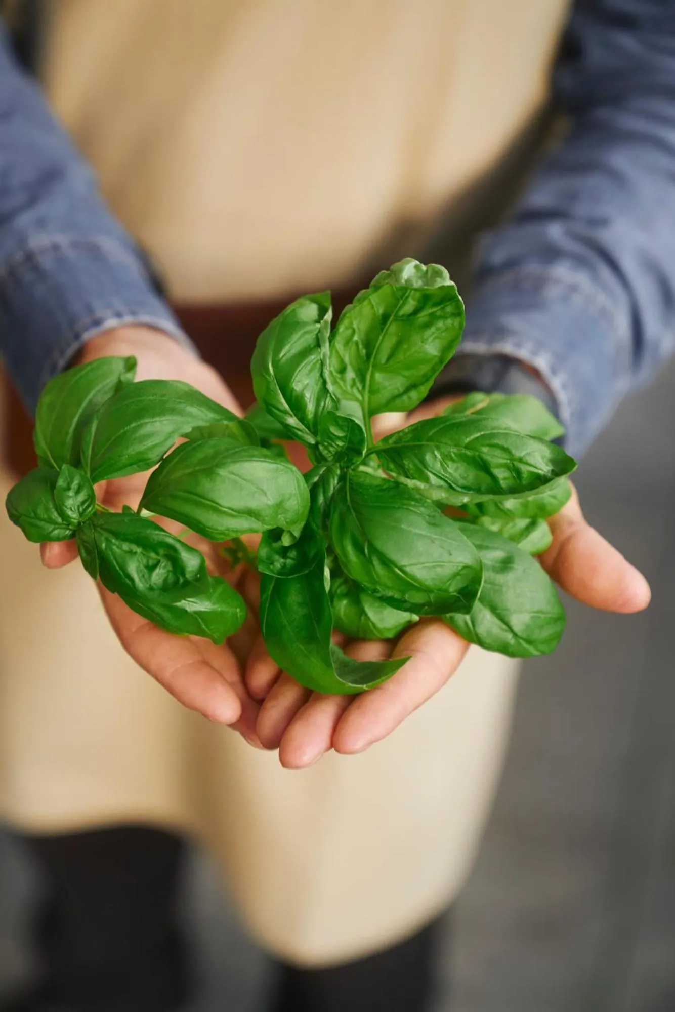 Food close-up in Hilton Milan