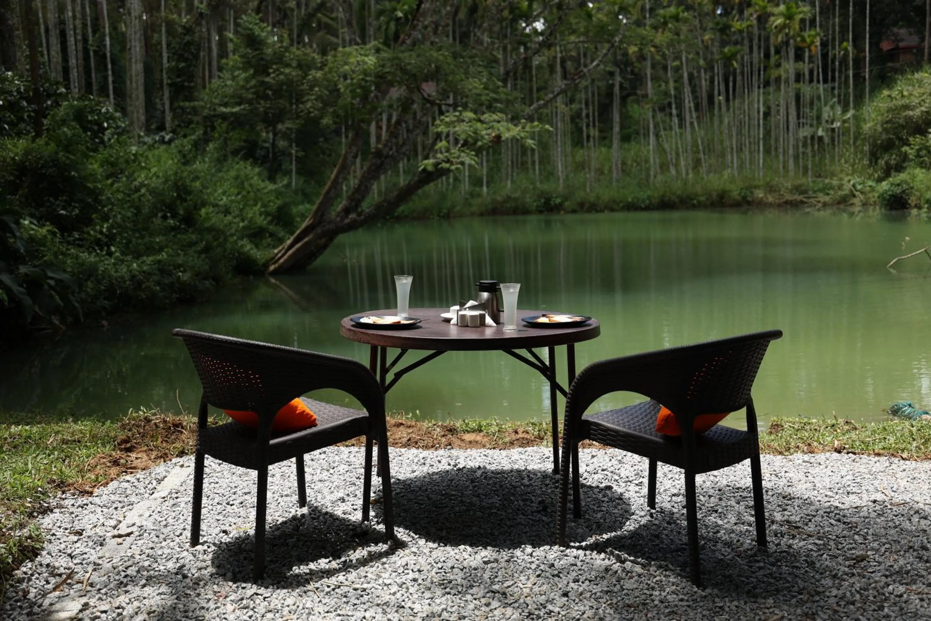 Natural landscape in Avadale Coorg - Stag Groups Not Allowed