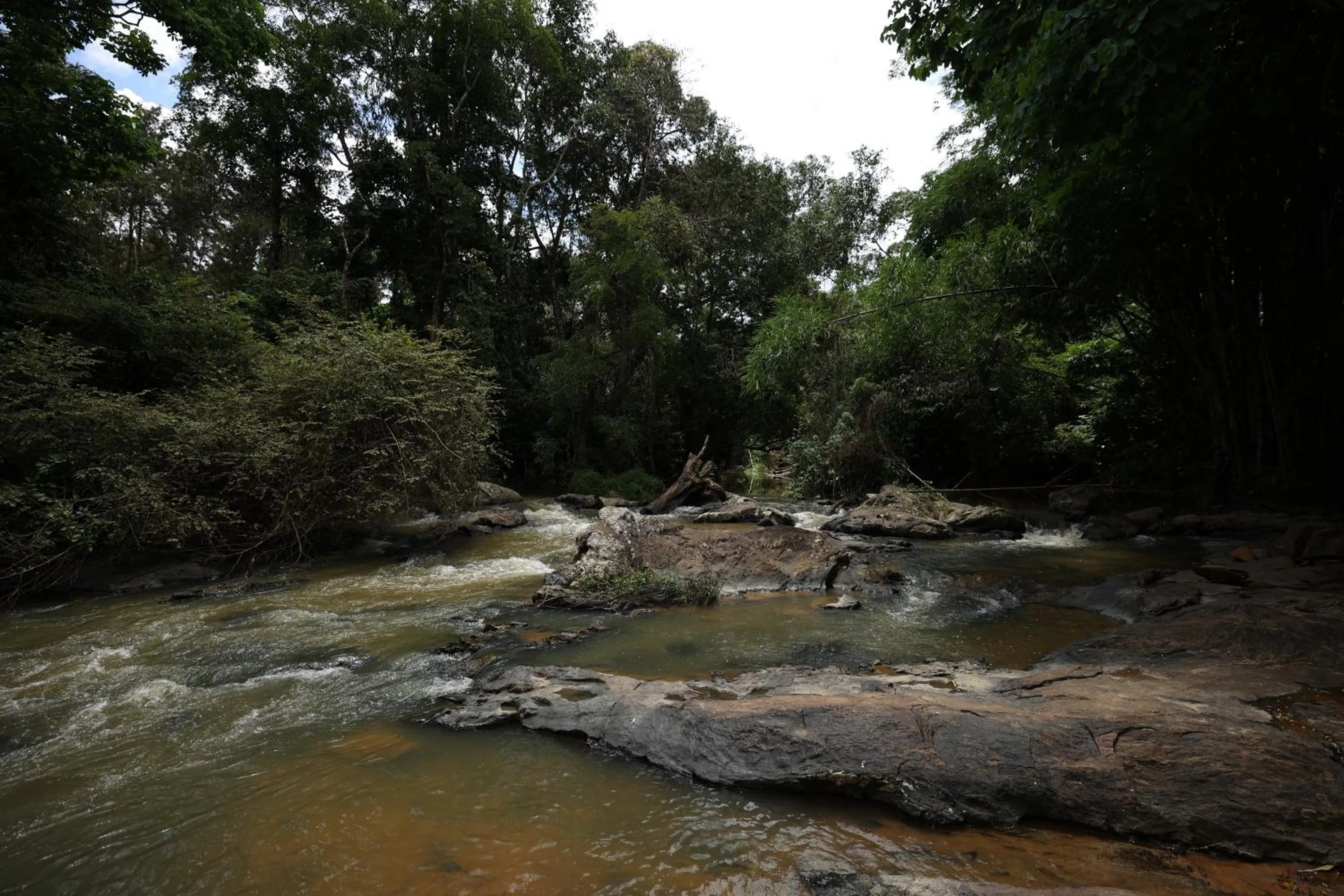 Natural landscape in Avadale Coorg - Stag Groups Not Allowed