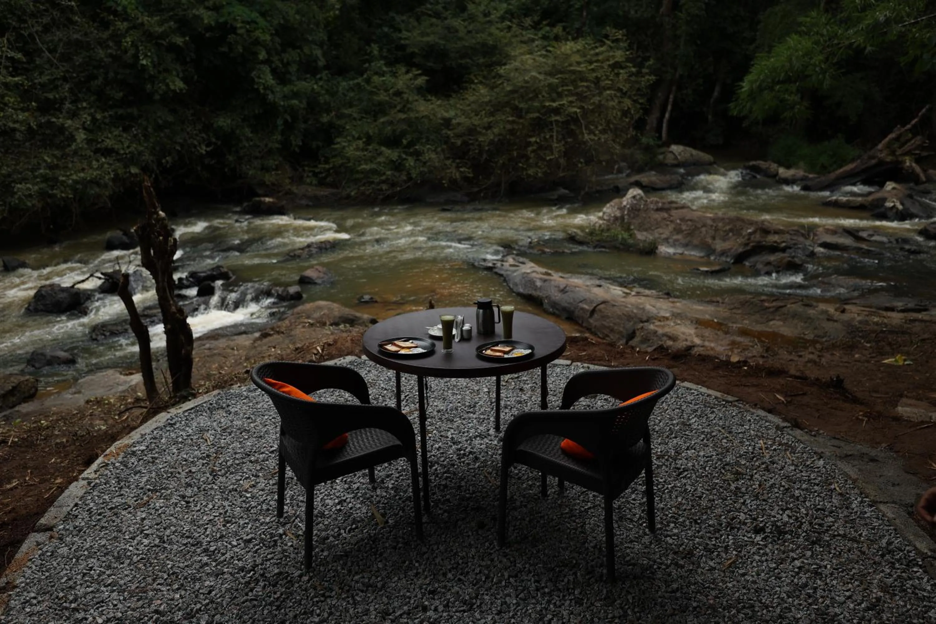 Natural landscape in Avadale Coorg - Stag Groups Not Allowed