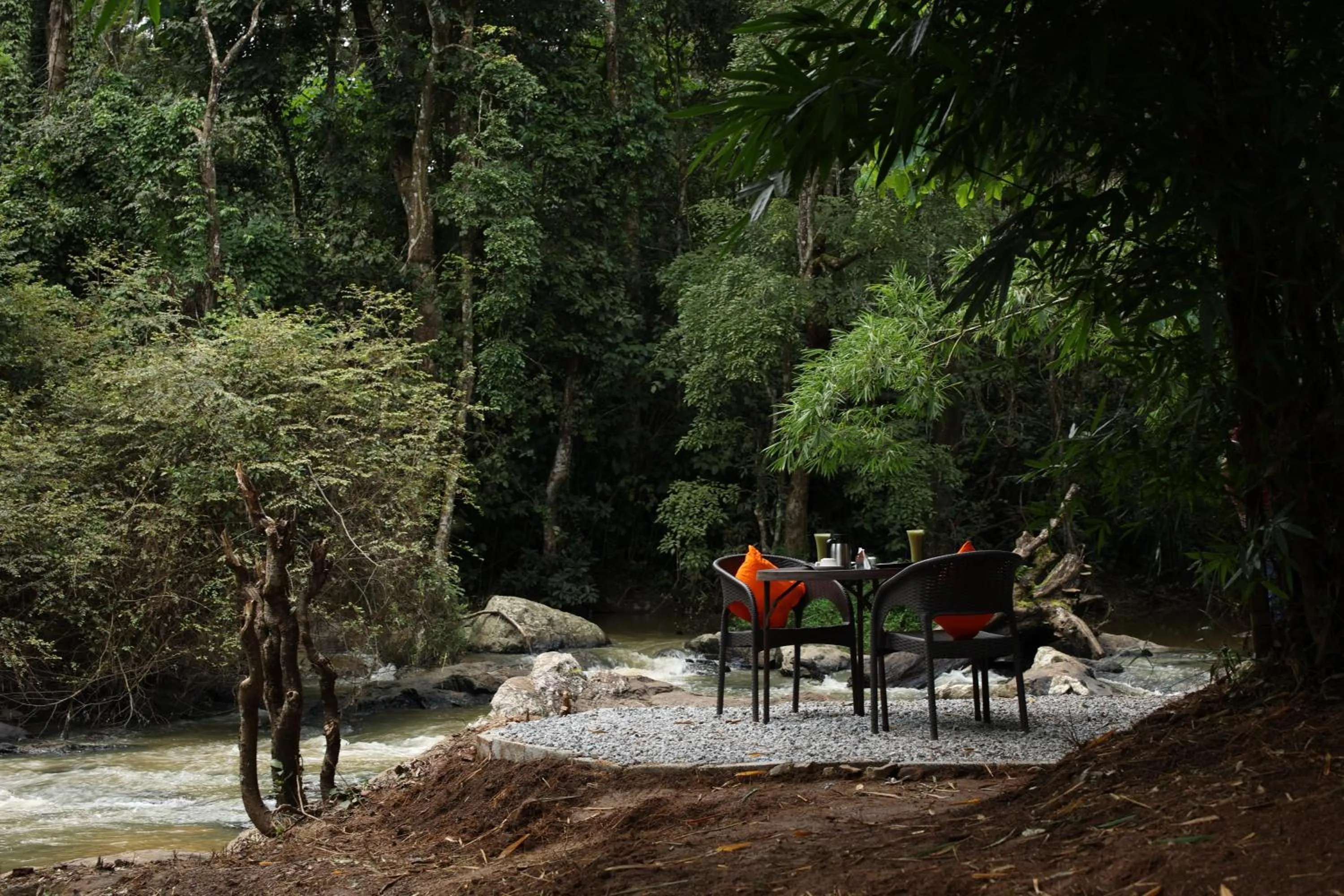 Natural landscape in Avadale Coorg - Stag Groups Not Allowed