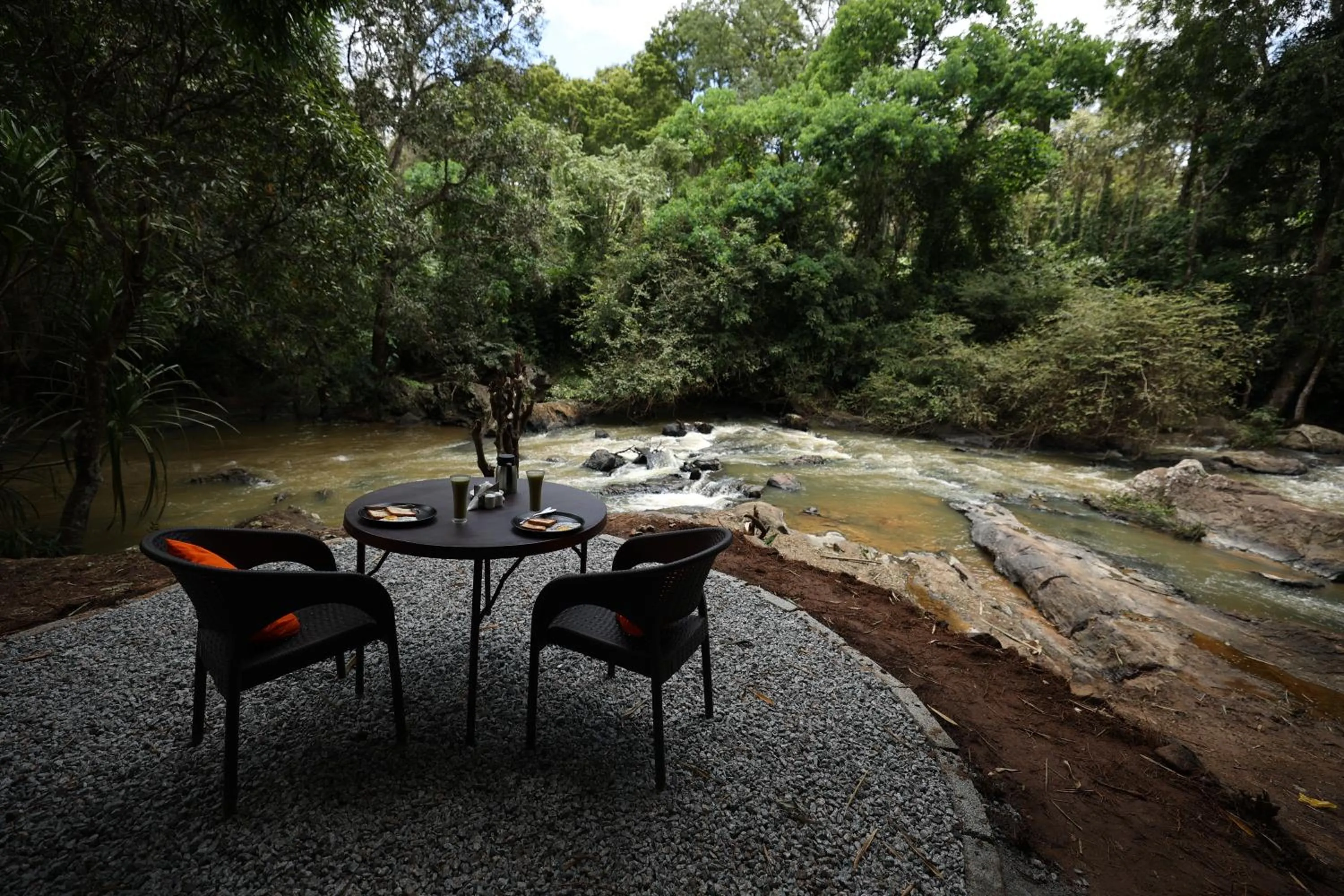 Natural landscape in Avadale Coorg - Stag Groups Not Allowed