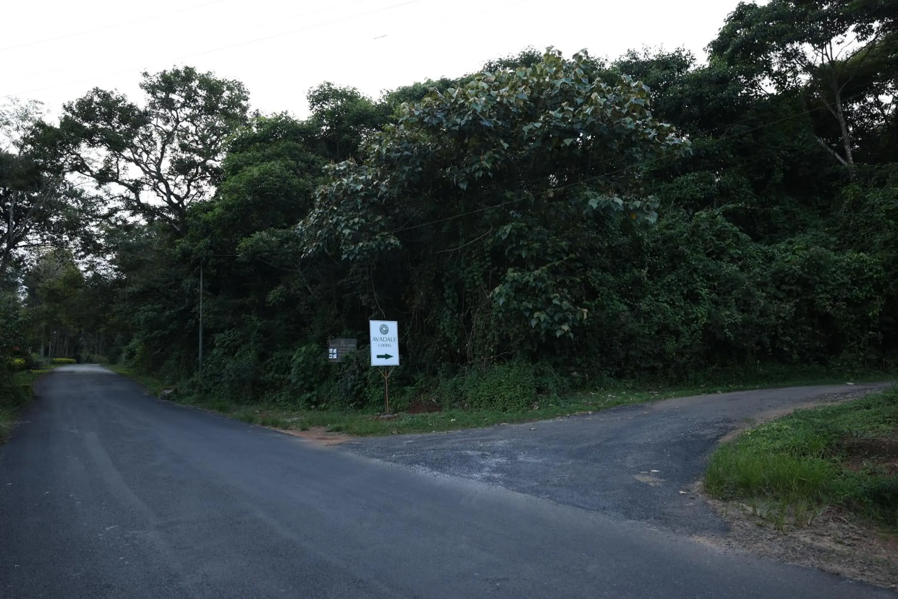 Street view in Avadale Coorg - Stag Groups Not Allowed Street view in Avadale Coorg - Stag Groups Not Allowed