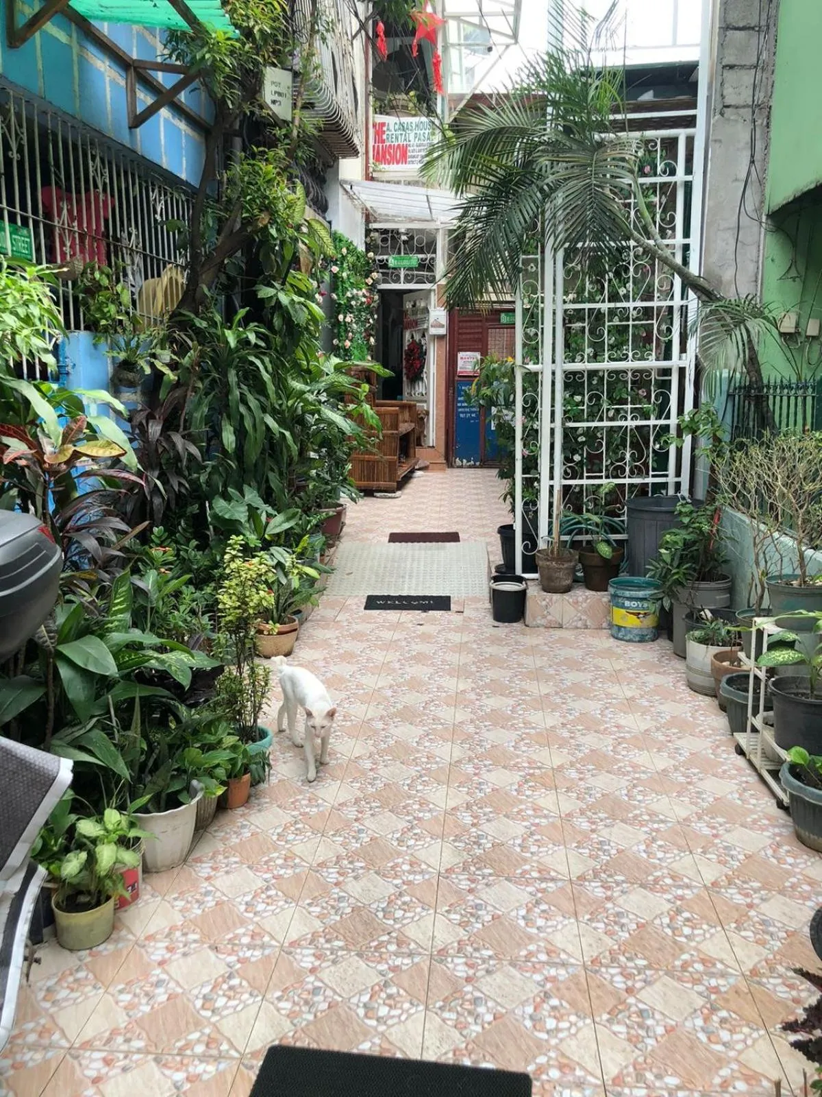 THE MANSION - 20 PAX LUXURY Near AIRPORT in PASAY