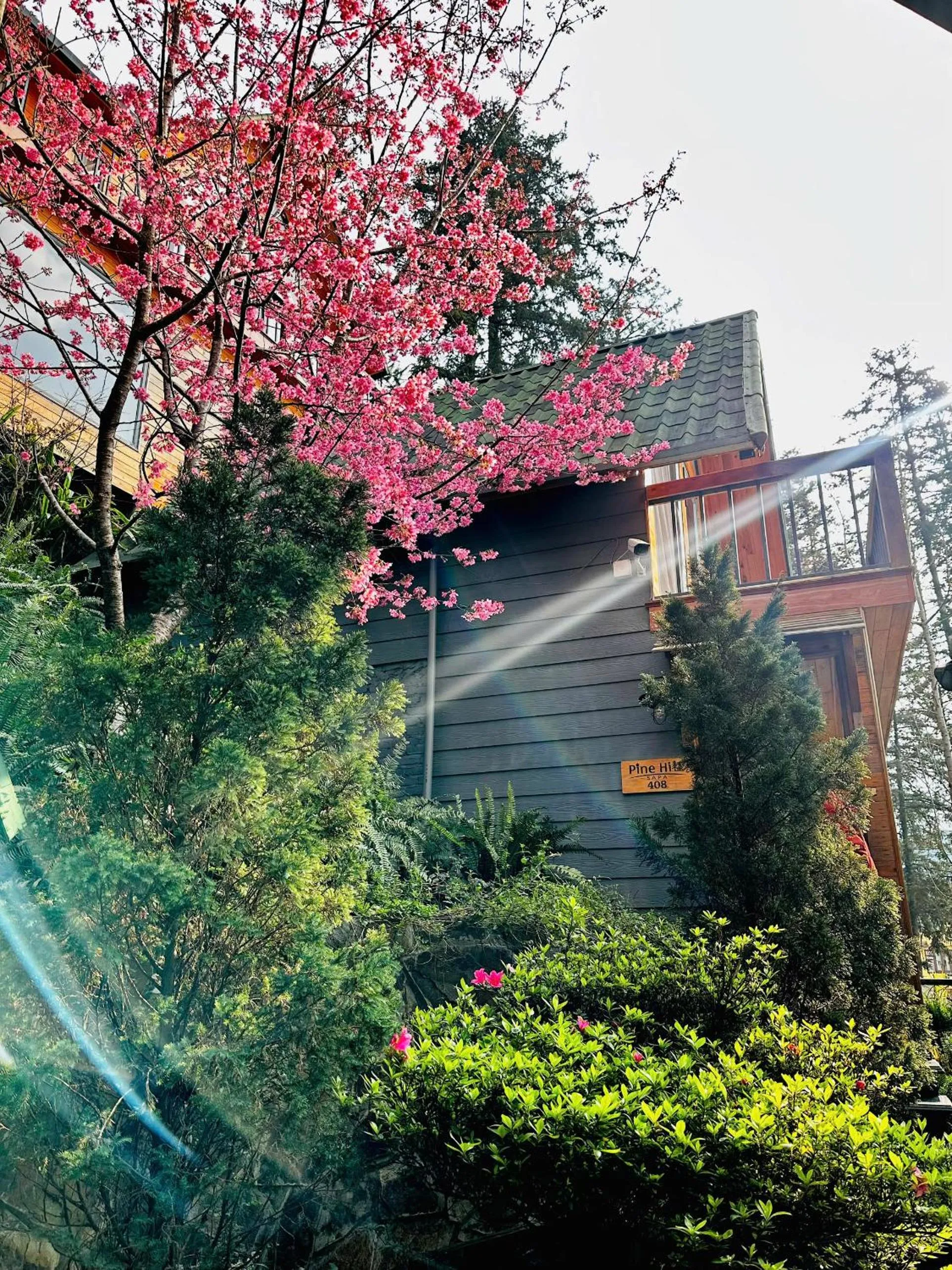 Property building in Sapa Pine Hill Eco Lodge