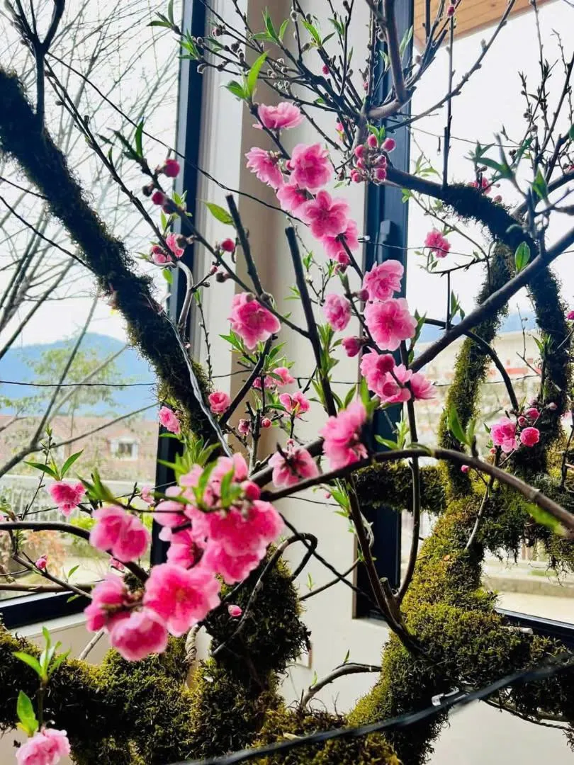 Property building in Sapa Pine Hill Eco Lodge