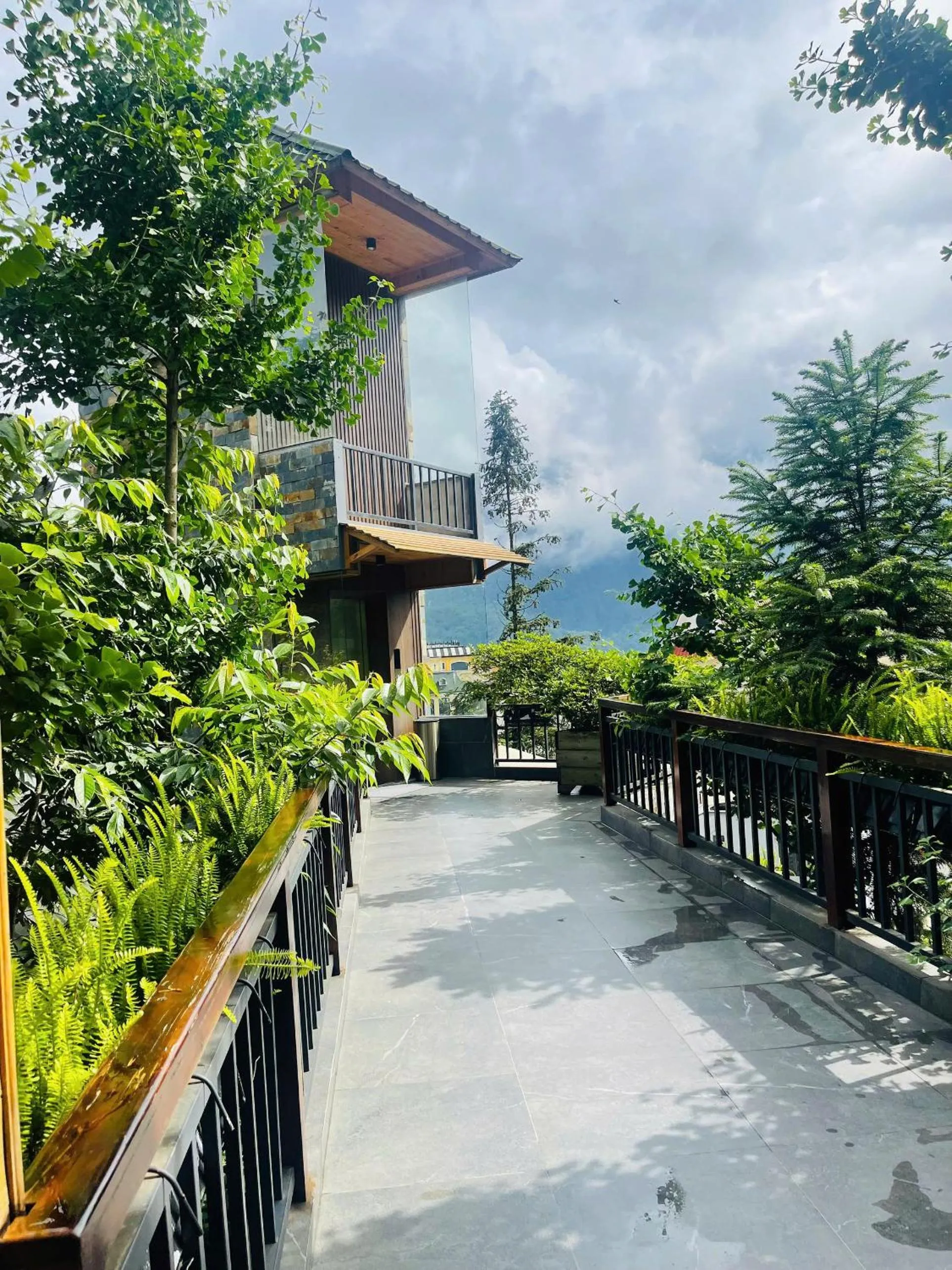 Natural landscape in Sapa Pine Hill Eco Lodge