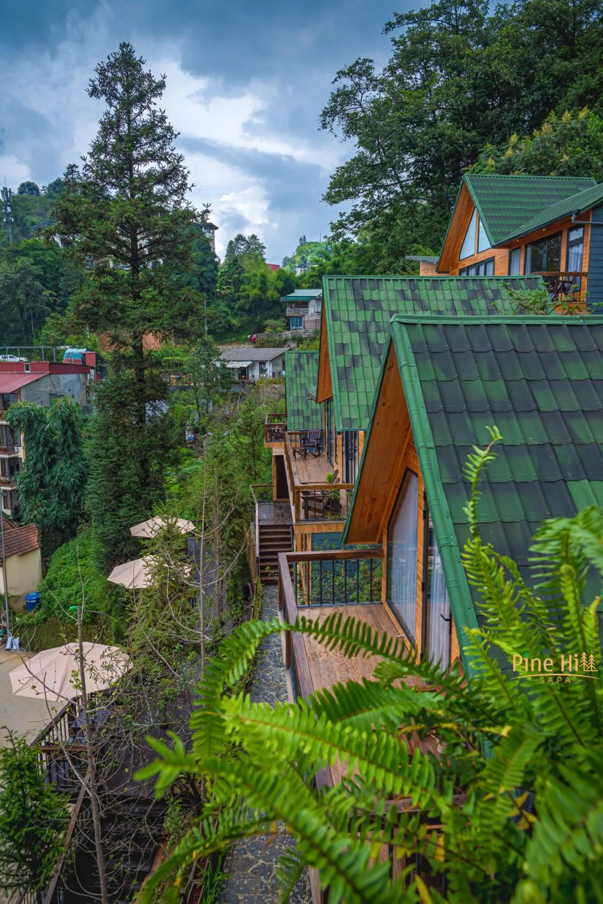Property building in Sapa Pine Hill Eco Lodge