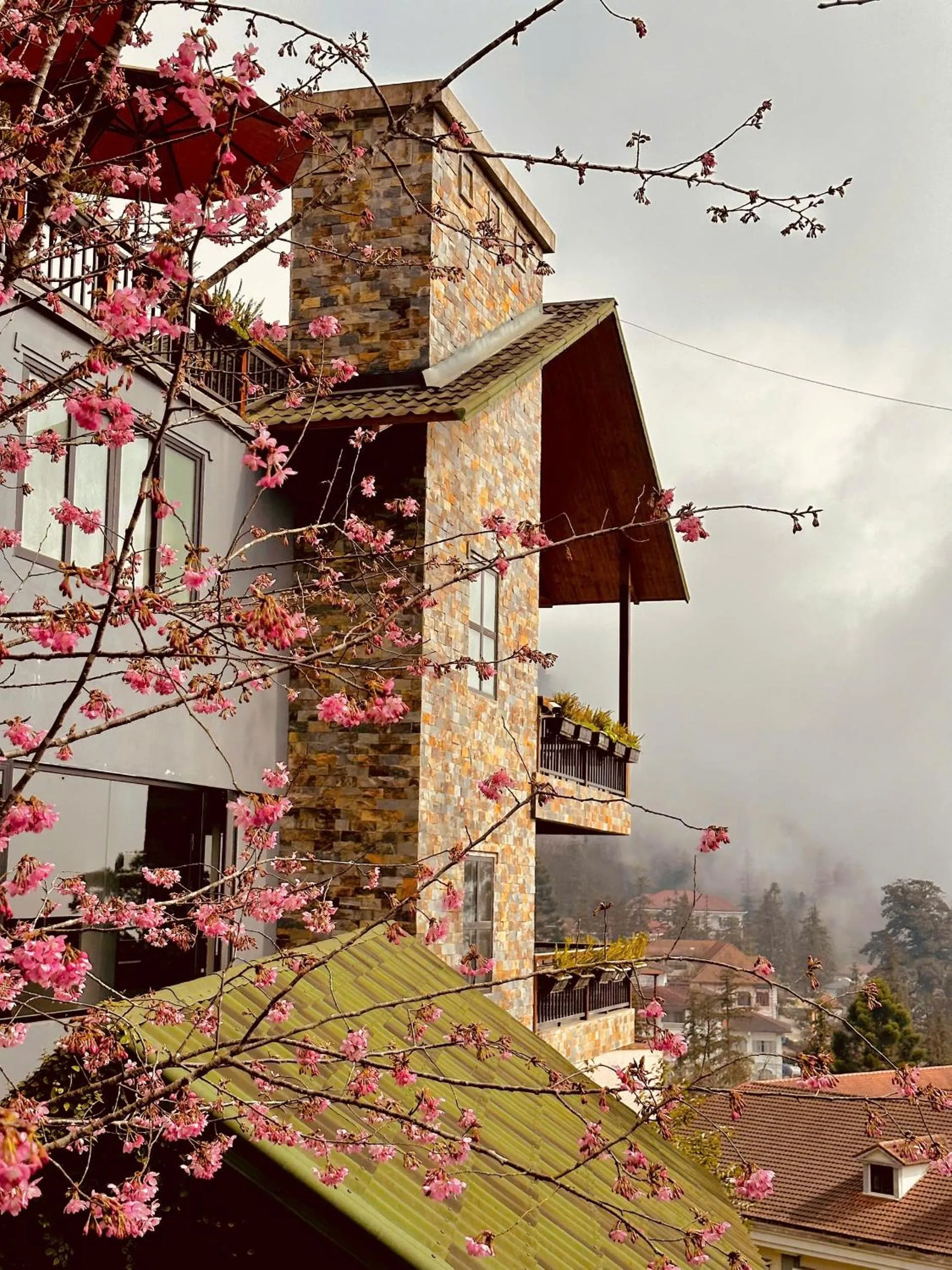 Property building in Sapa Pine Hill Eco Lodge