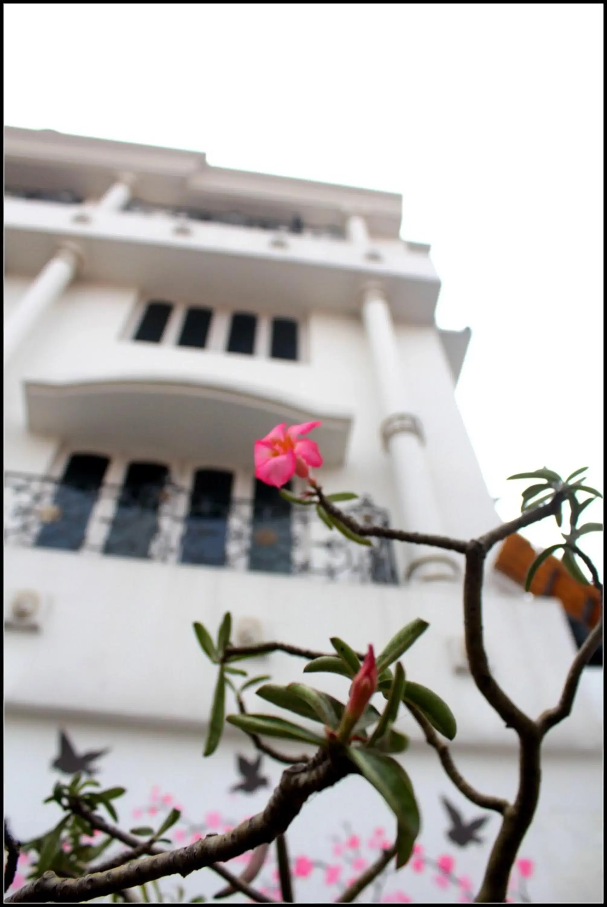 Facade/entrance in Georgian Inn Facade/entrance in Georgian Inn