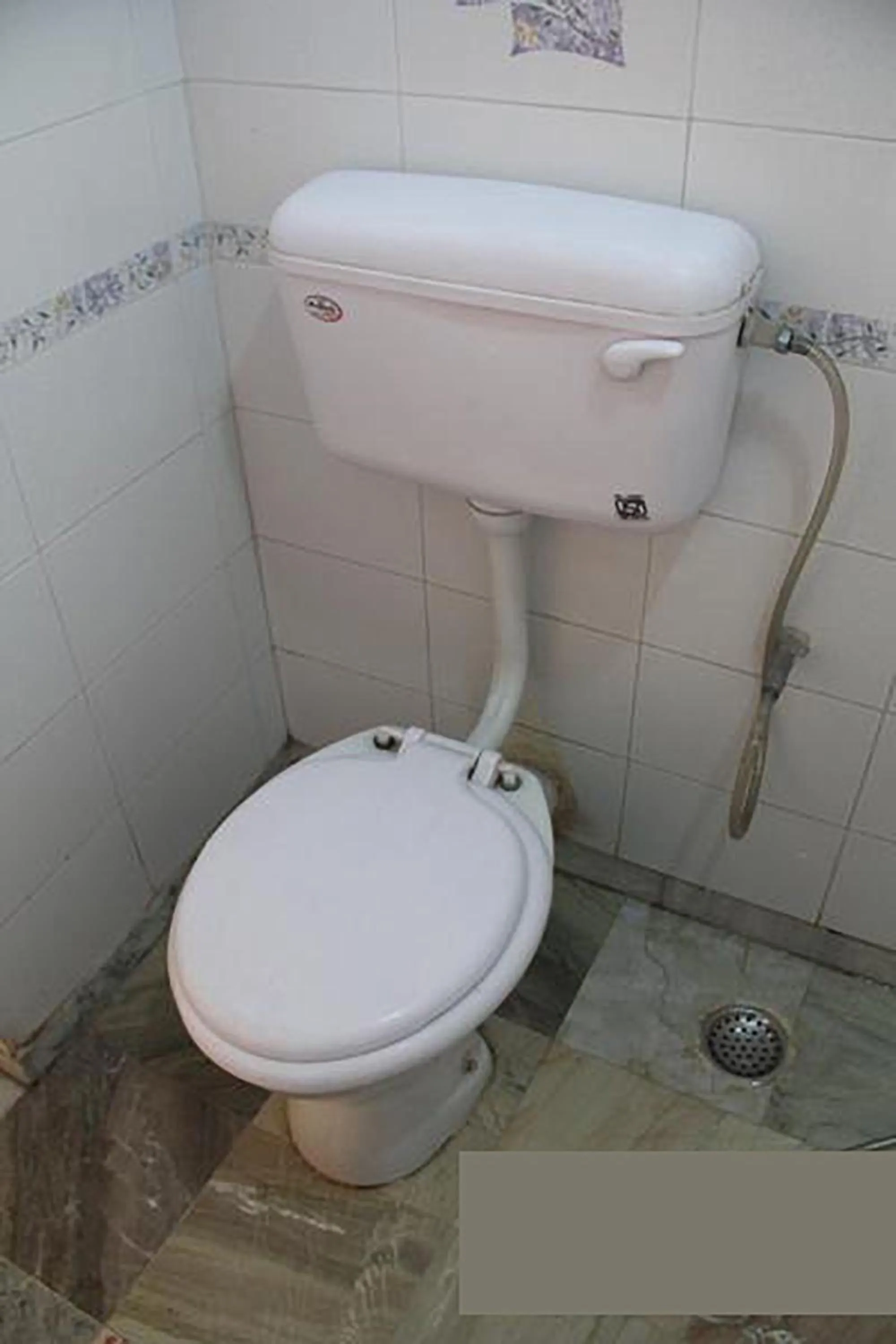 Toilet in Georgian Inn