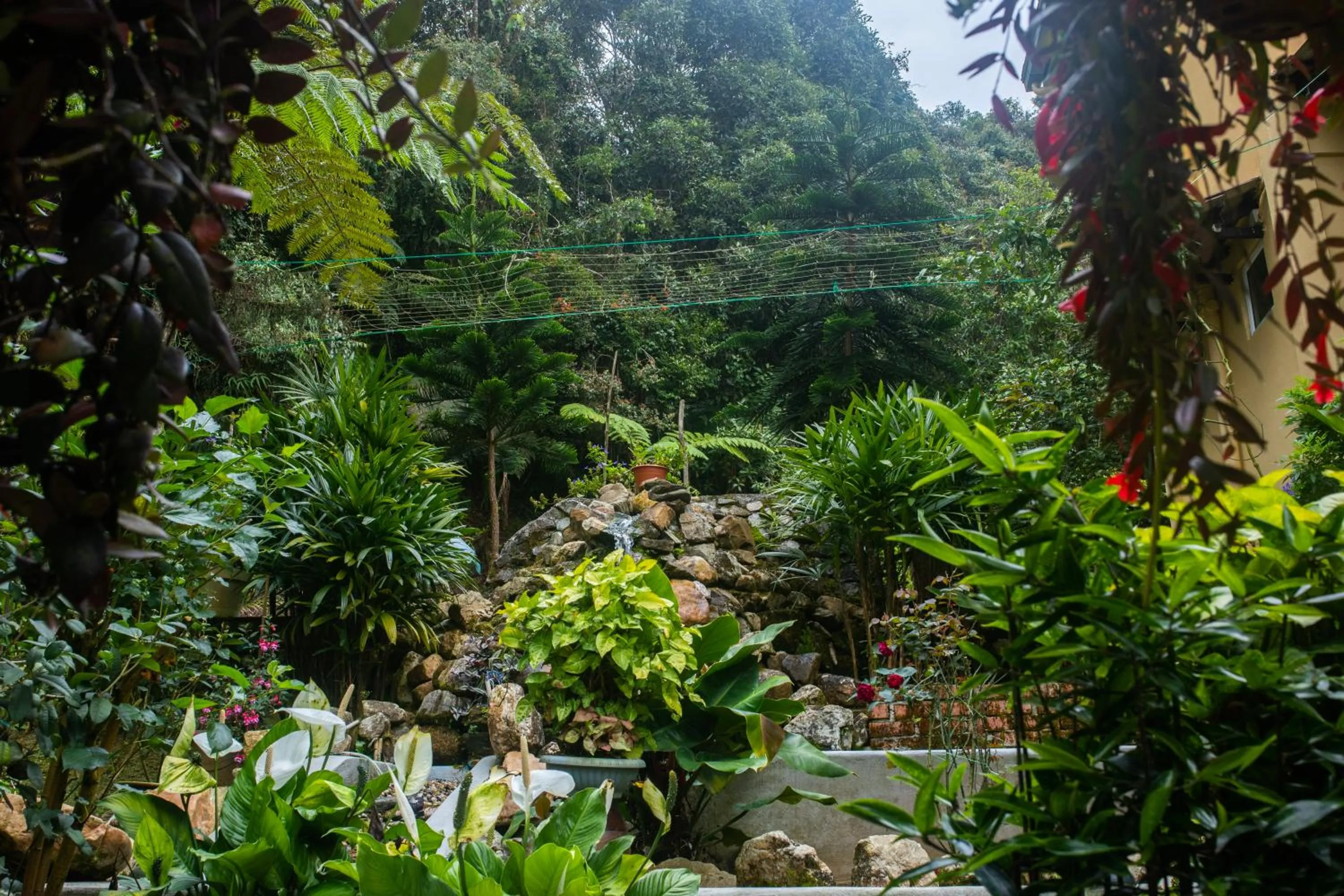 Garden view in Highlanders Garden Guesthouse at Arundina Cameron Highlands