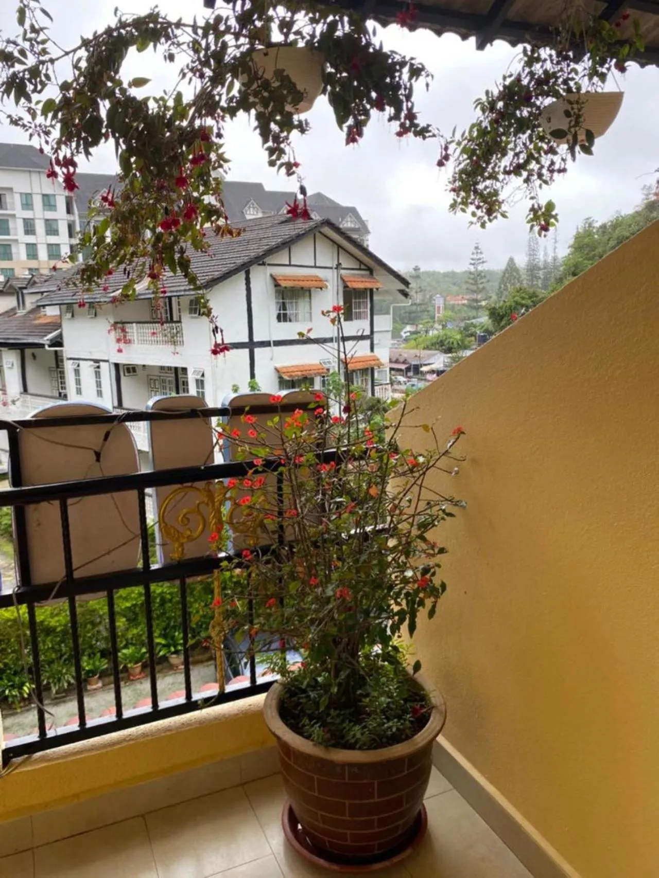 Balcony/Terrace in Highlanders Garden Guesthouse at Arundina Cameron Highlands