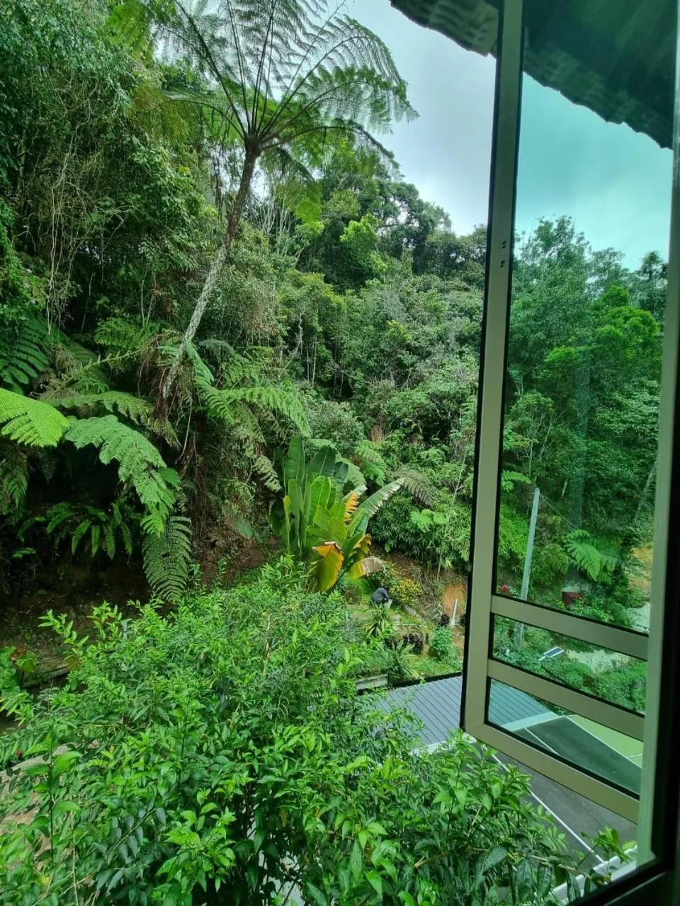 View (from property/room) in Highlanders Garden Guesthouse at Arundina Cameron Highlands