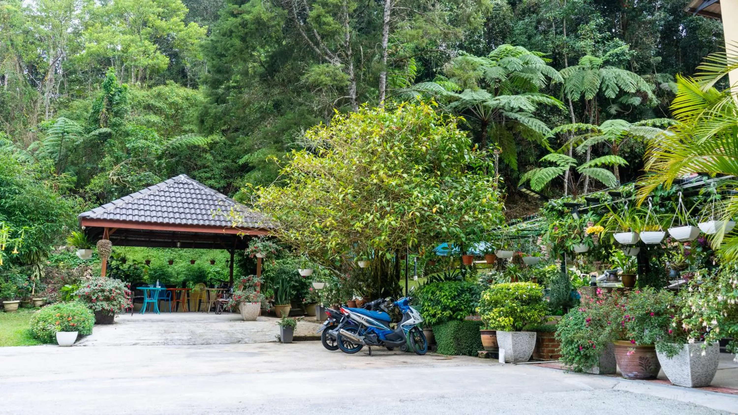 Garden in Highlanders Garden Guesthouse at Arundina Cameron Highlands