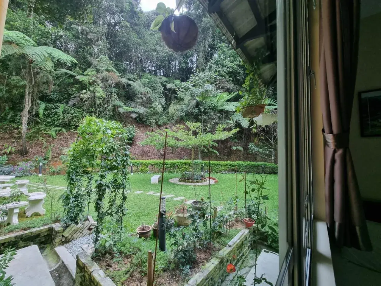 View (from property/room) in Highlanders Garden Guesthouse at Arundina Cameron Highlands View (from property/room) in Highlanders Garden Guesthouse at Arundina Cameron Highlands