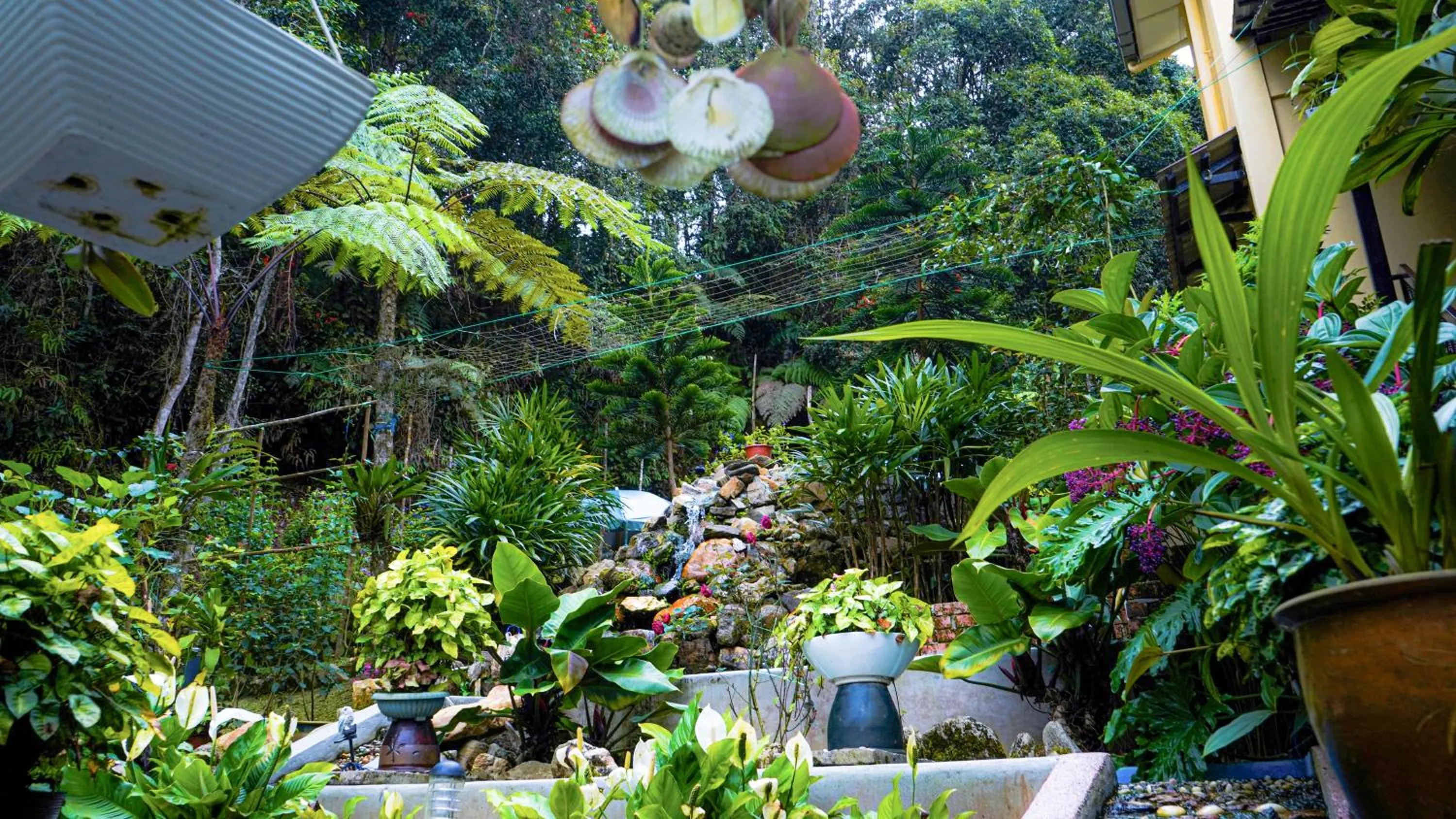Garden in Highlanders Garden Guesthouse at Arundina Cameron Highlands