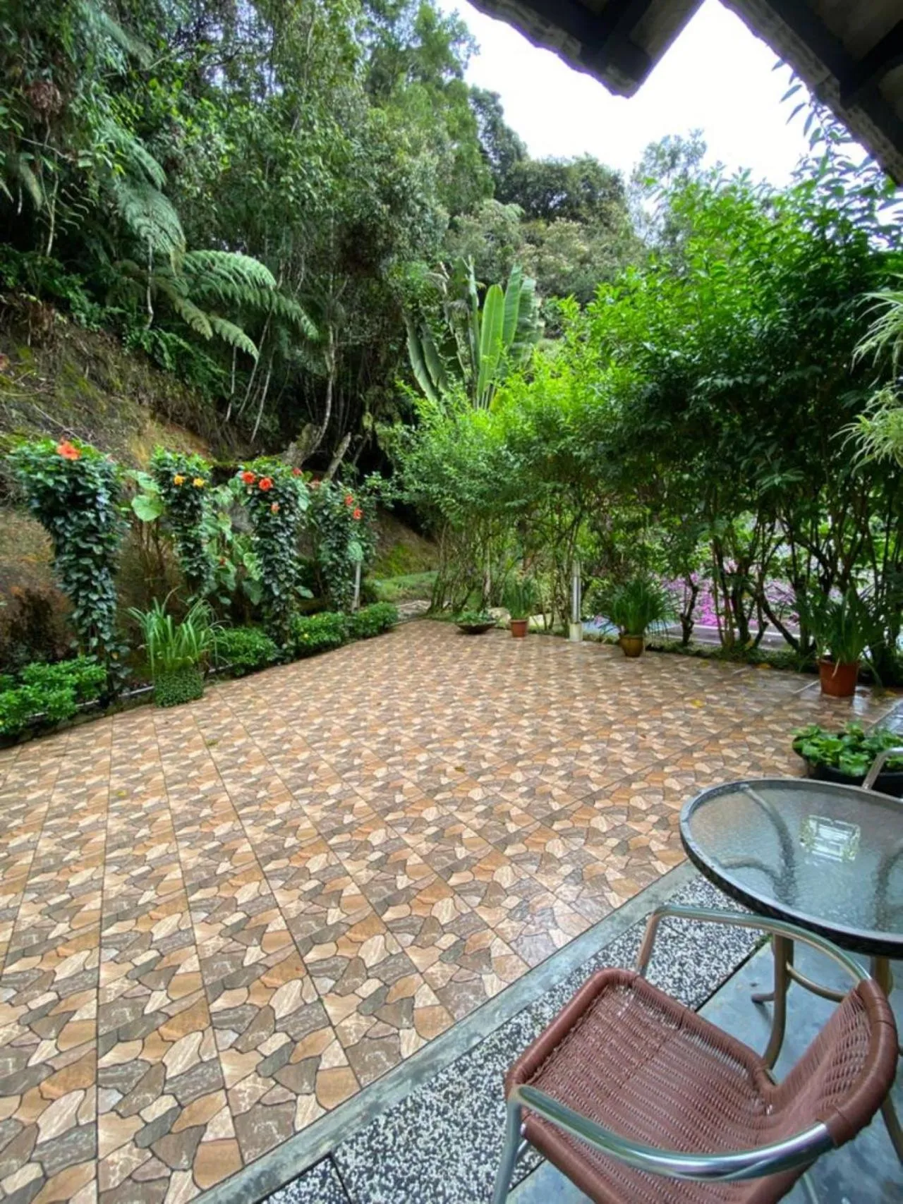 Garden in Highlanders Garden Guesthouse at Arundina Cameron Highlands