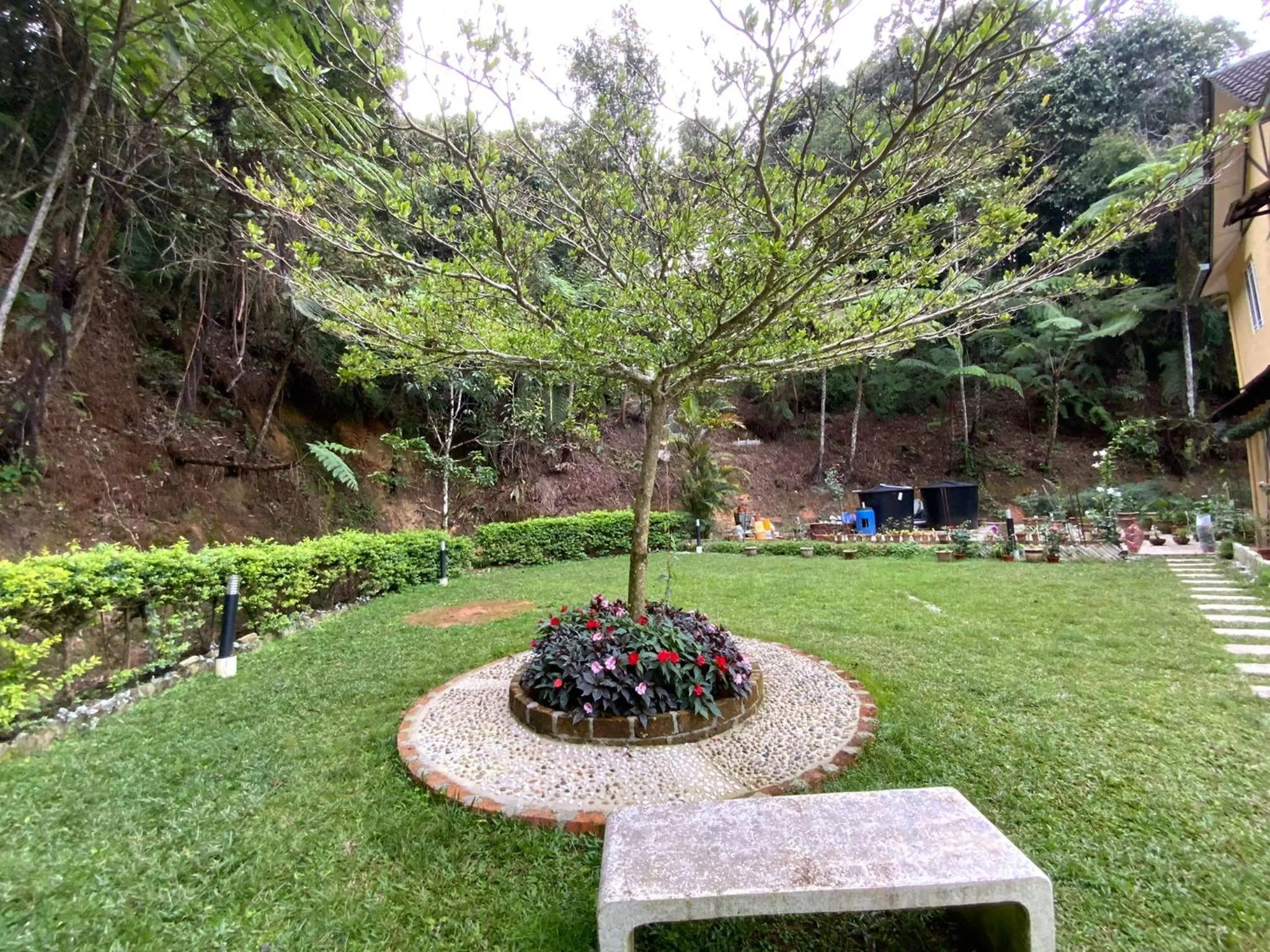 Garden in Highlanders Garden Guesthouse at Arundina Cameron Highlands