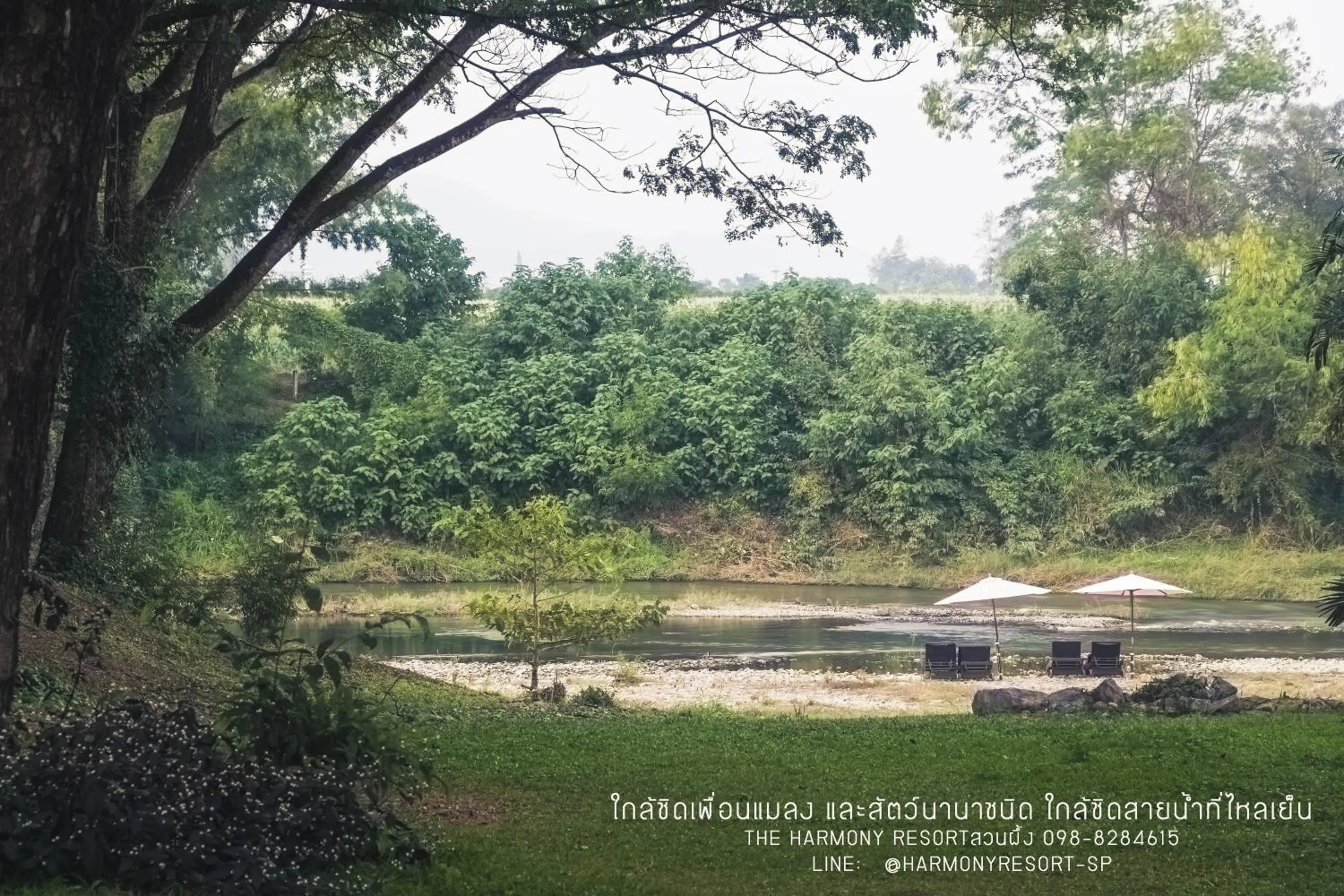 Natural landscape in The Harmony Resort