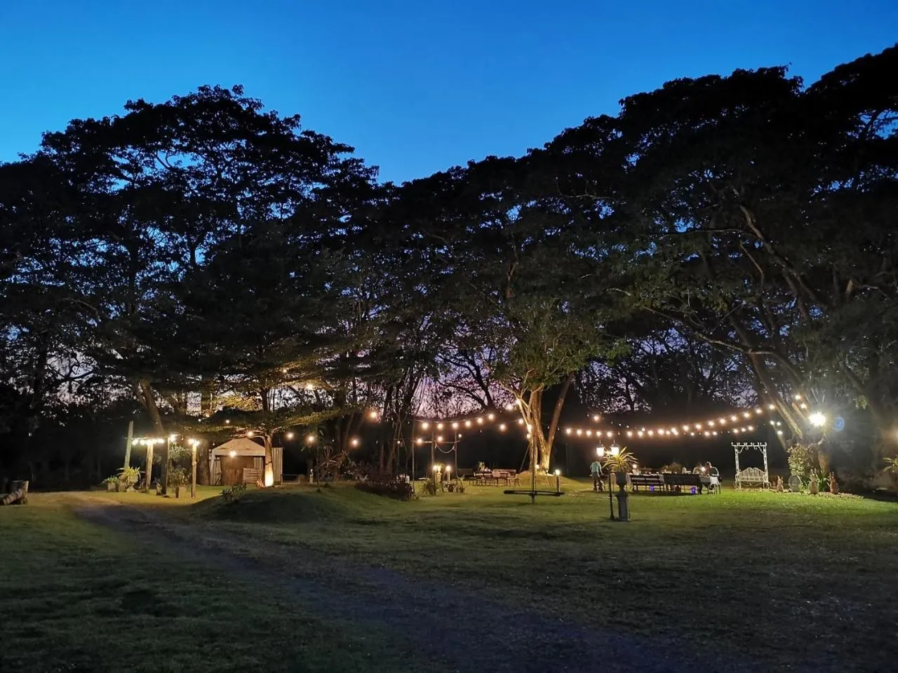 Garden in The Harmony Resort