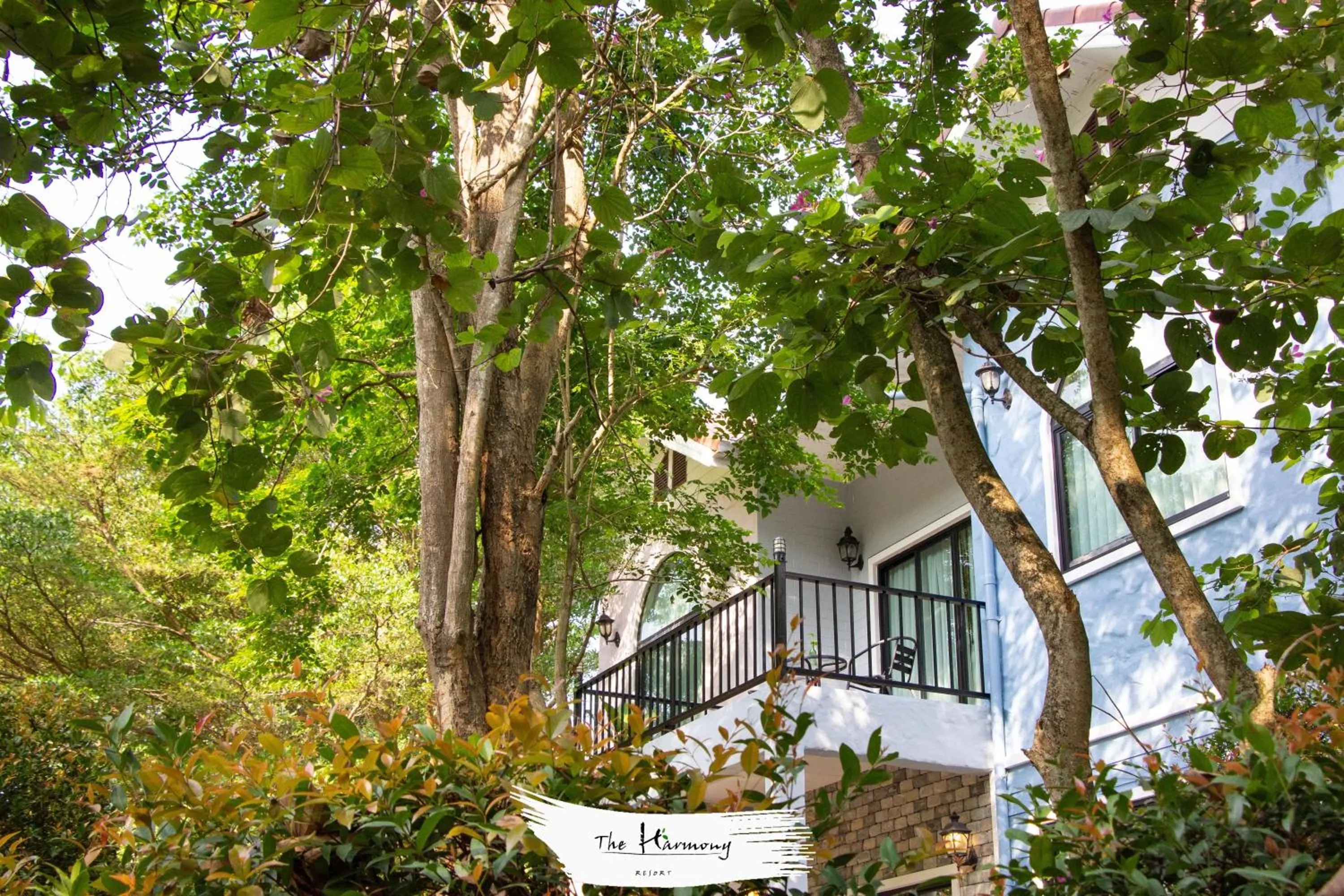 Property building in The Harmony Resort